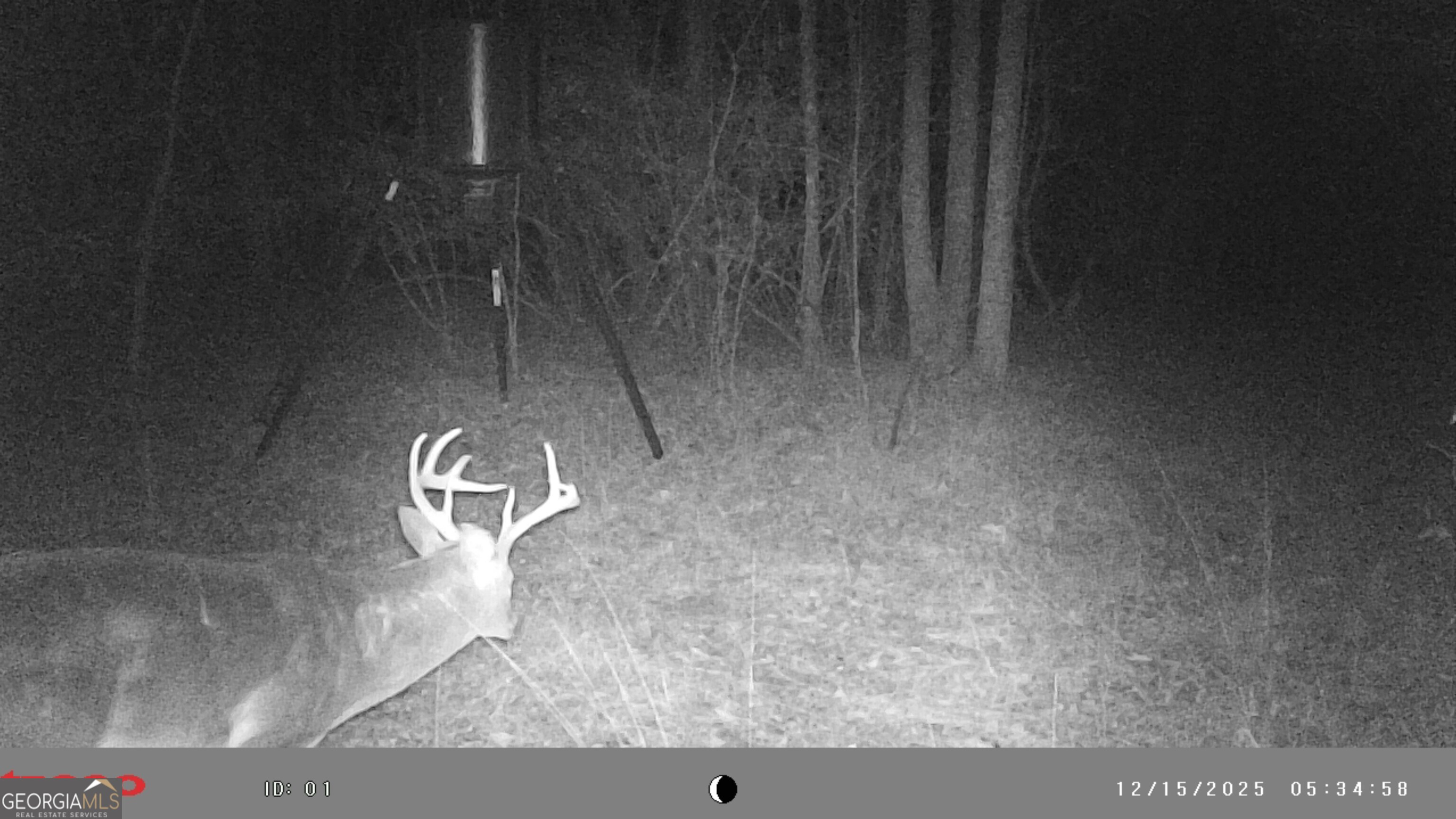 2486 Hulmes Chapel Road Elberton, GA 30635 - Photo 70 of 77