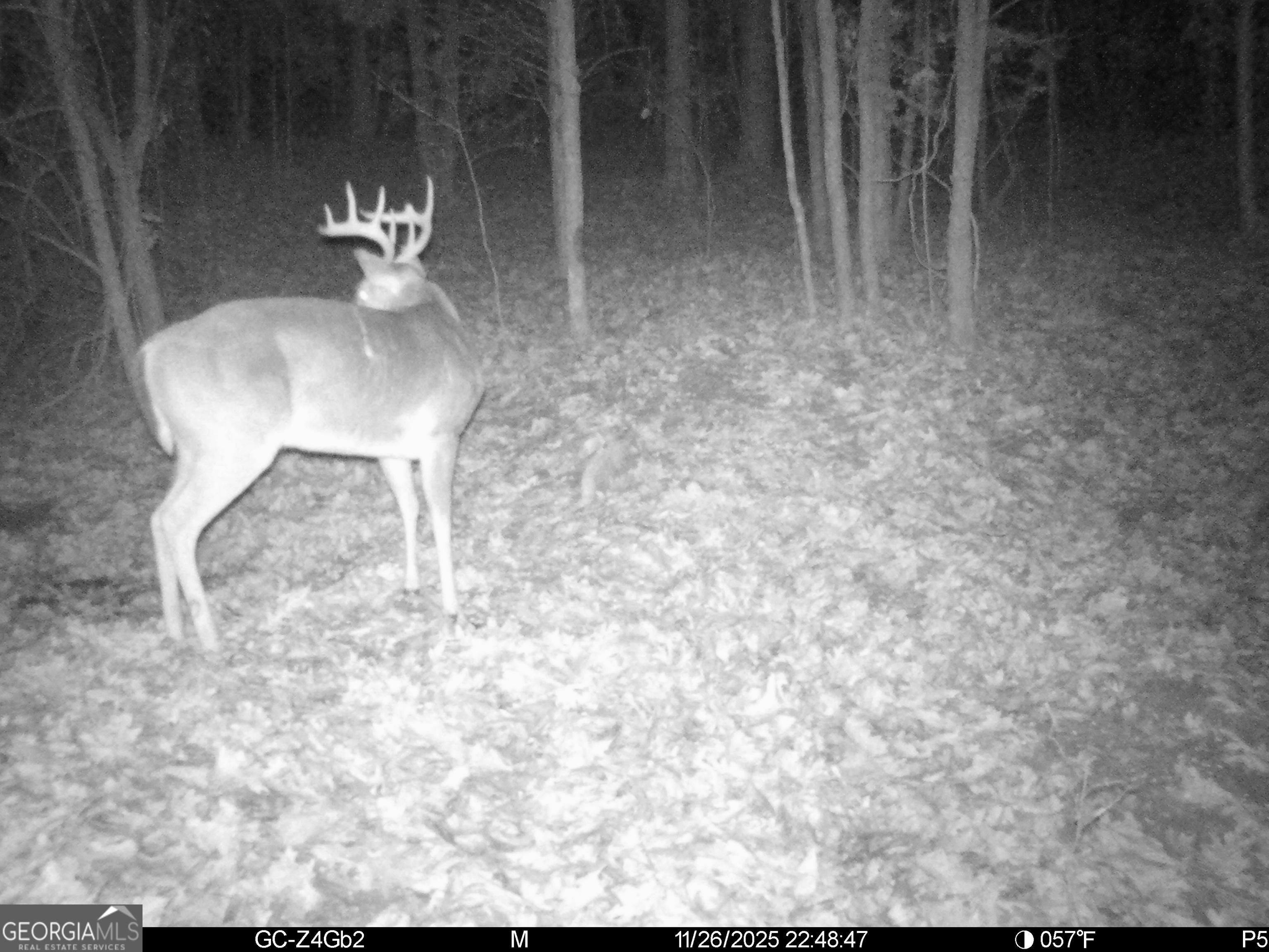2486 Hulmes Chapel Road Elberton, GA 30635 - Photo 7 of 77