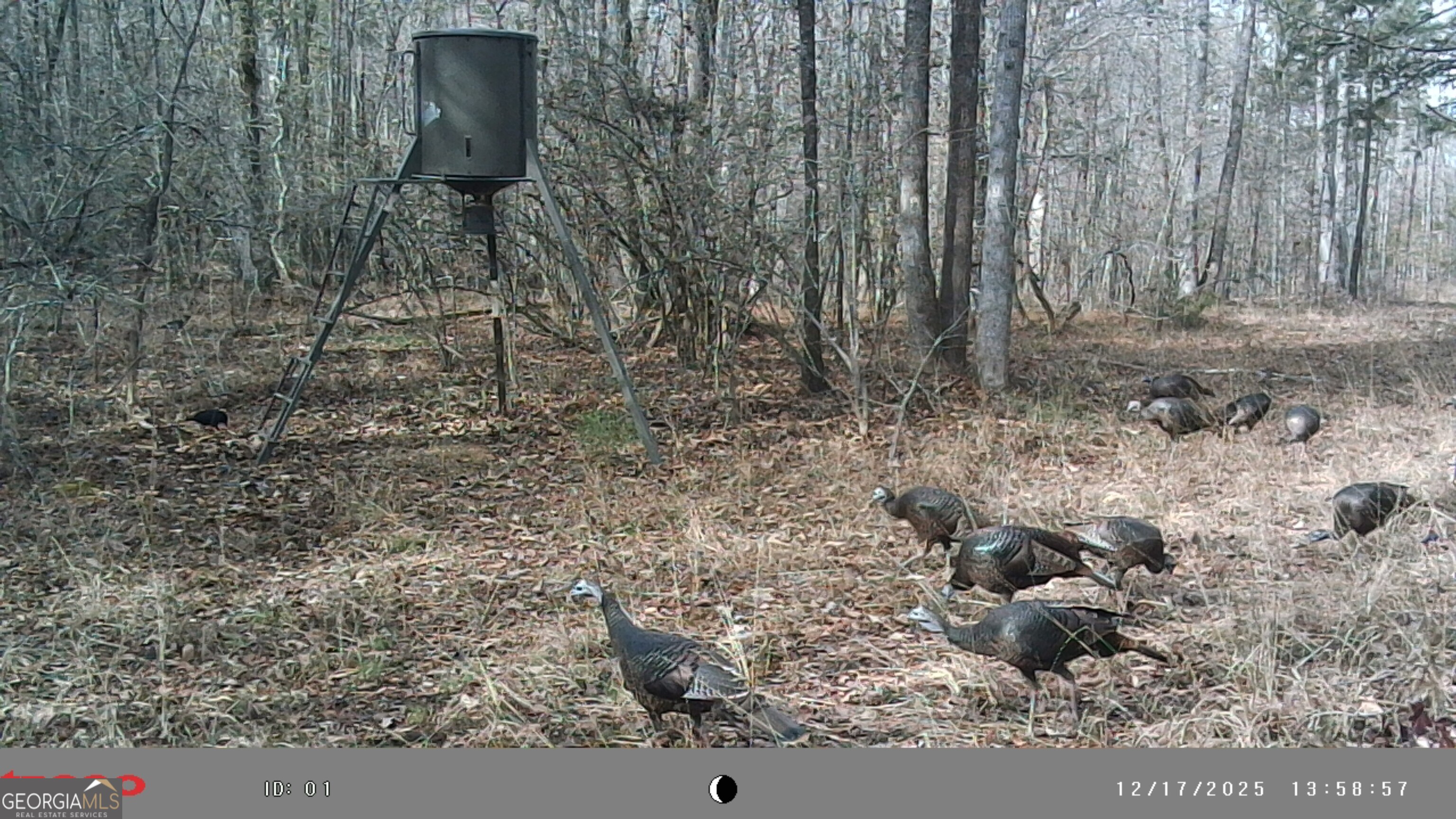 2486 Hulmes Chapel Road Elberton, GA 30635 - Photo 71 of 77