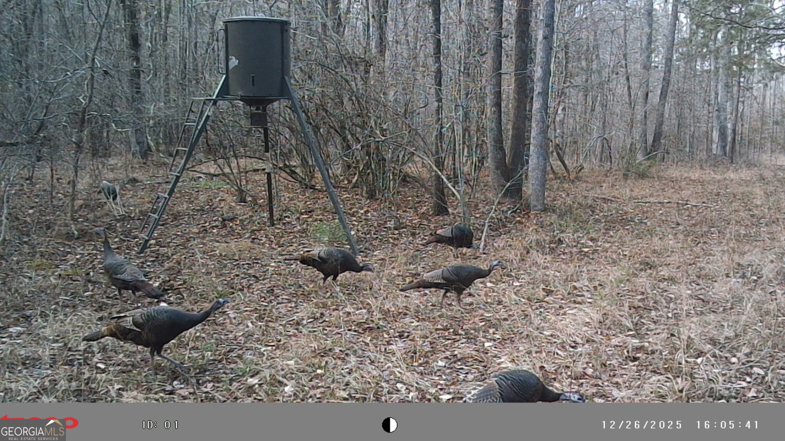 2486 Hulmes Chapel Road Elberton, GA 30635 - Photo 72 of 77