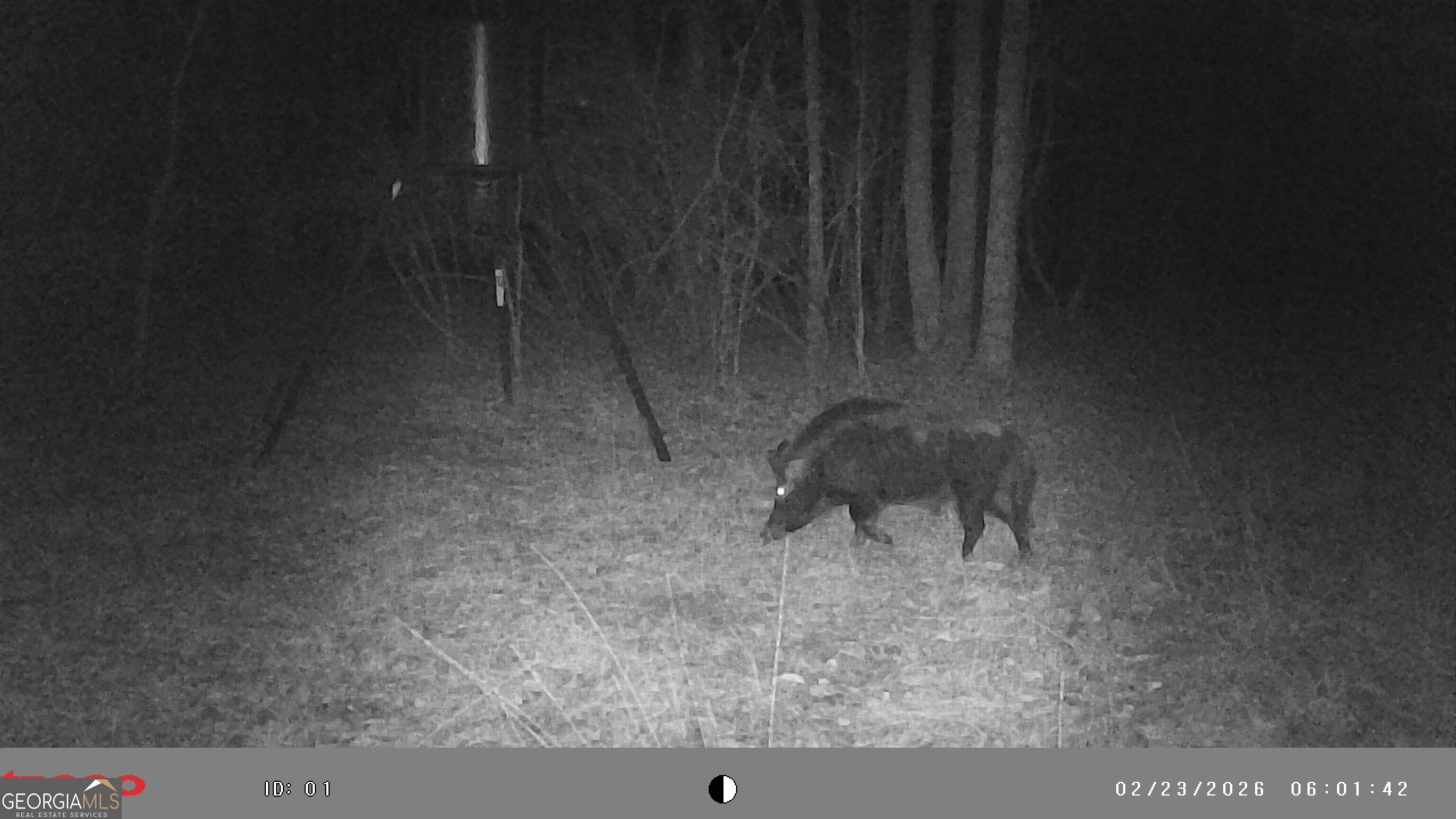 2486 Hulmes Chapel Road Elberton, GA 30635 - Photo 73 of 77