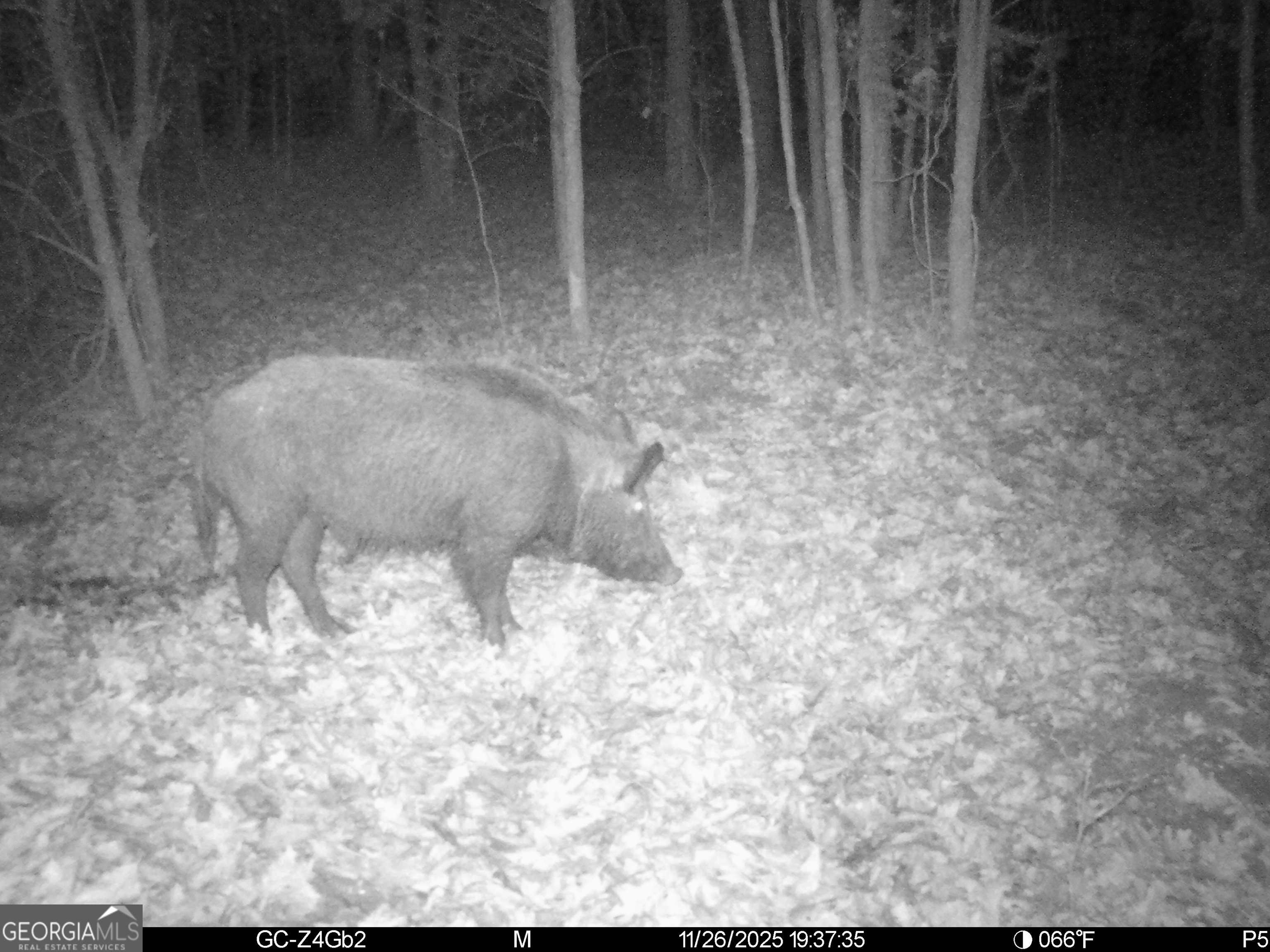 2486 Hulmes Chapel Road Elberton, GA 30635 - Photo 74 of 77