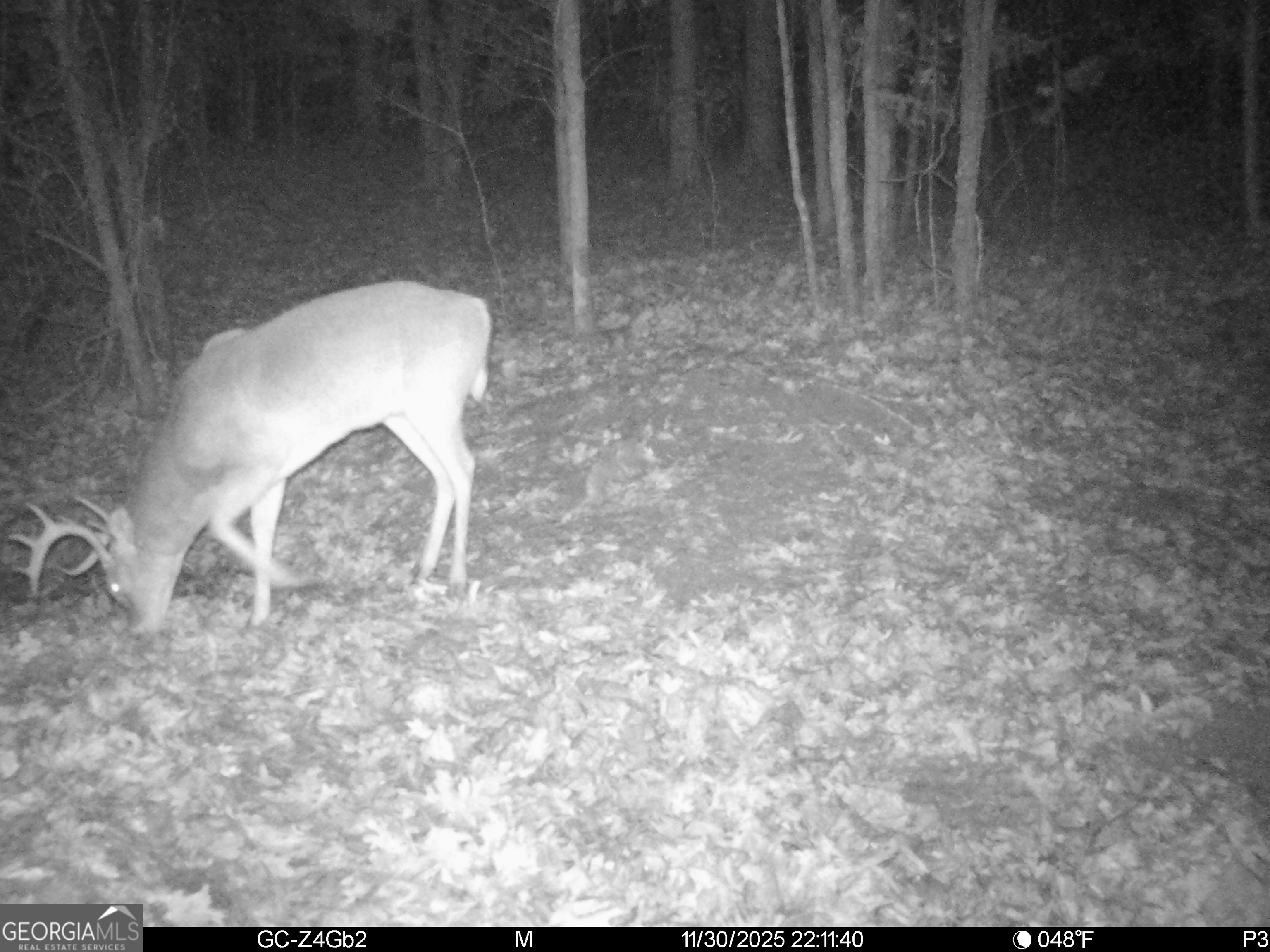 2486 Hulmes Chapel Road Elberton, GA 30635 - Photo 75 of 77