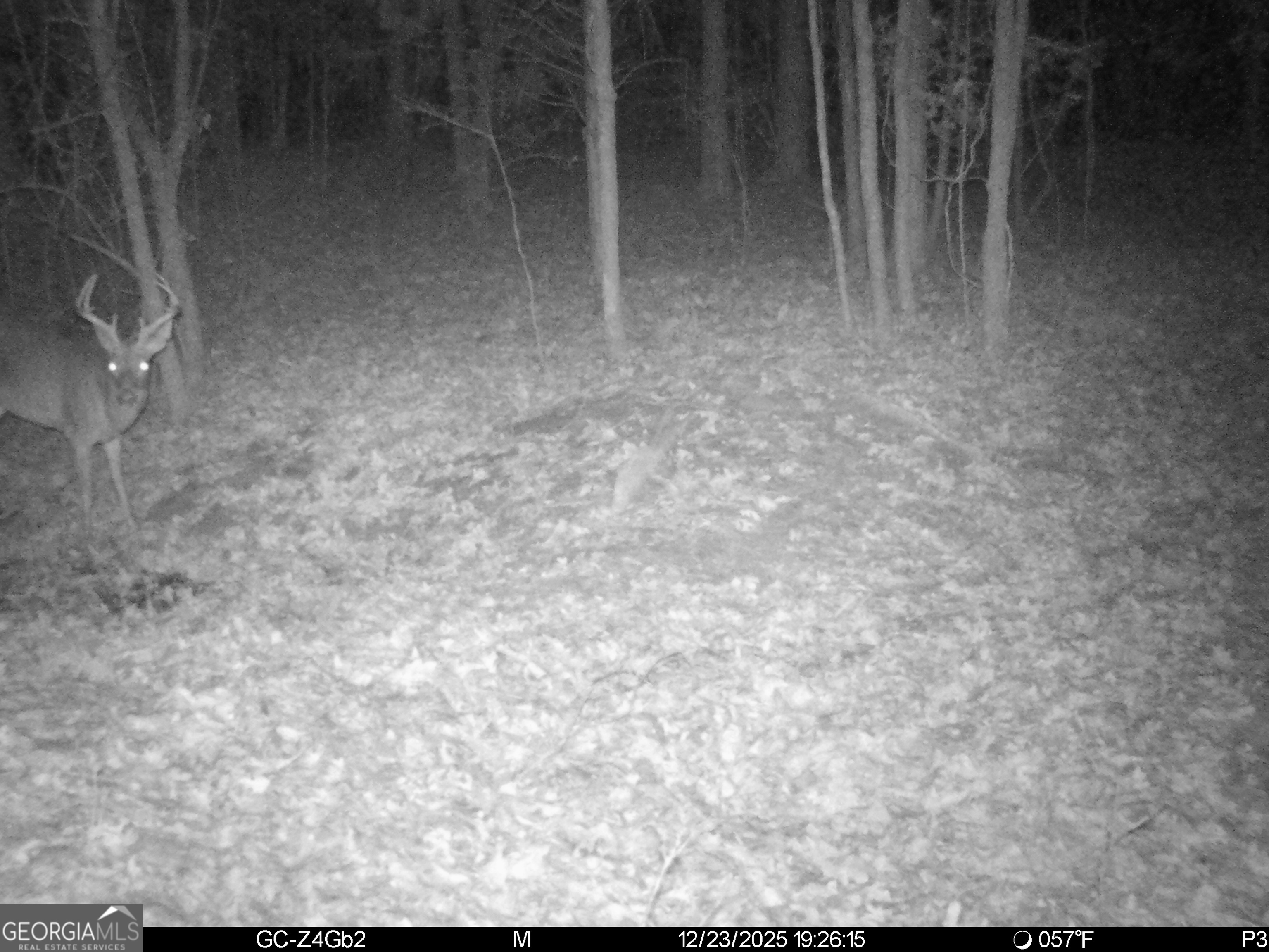2486 Hulmes Chapel Road Elberton, GA 30635 - Photo 76 of 77