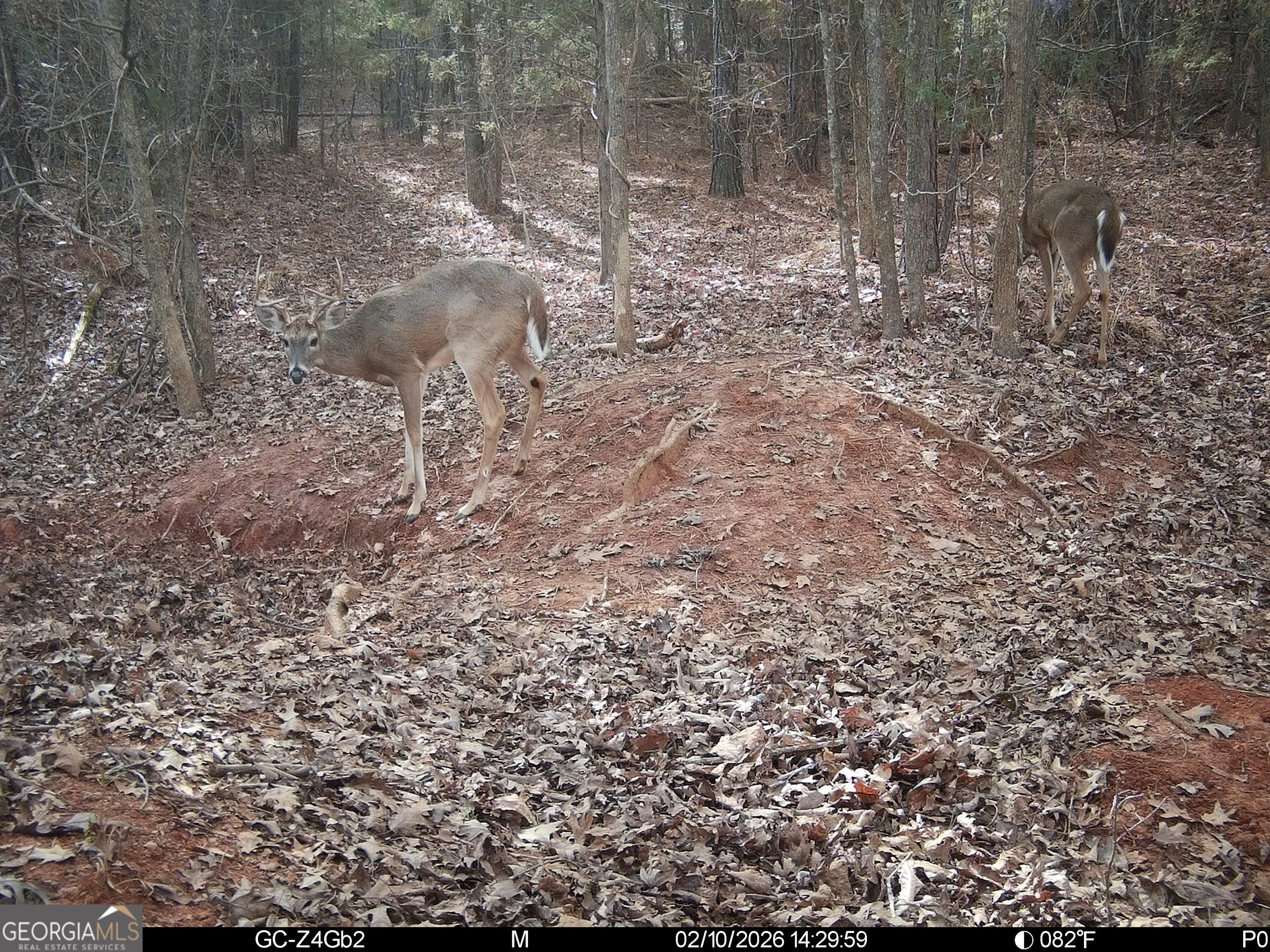 2486 Hulmes Chapel Road Elberton, GA 30635 - Photo 77 of 77