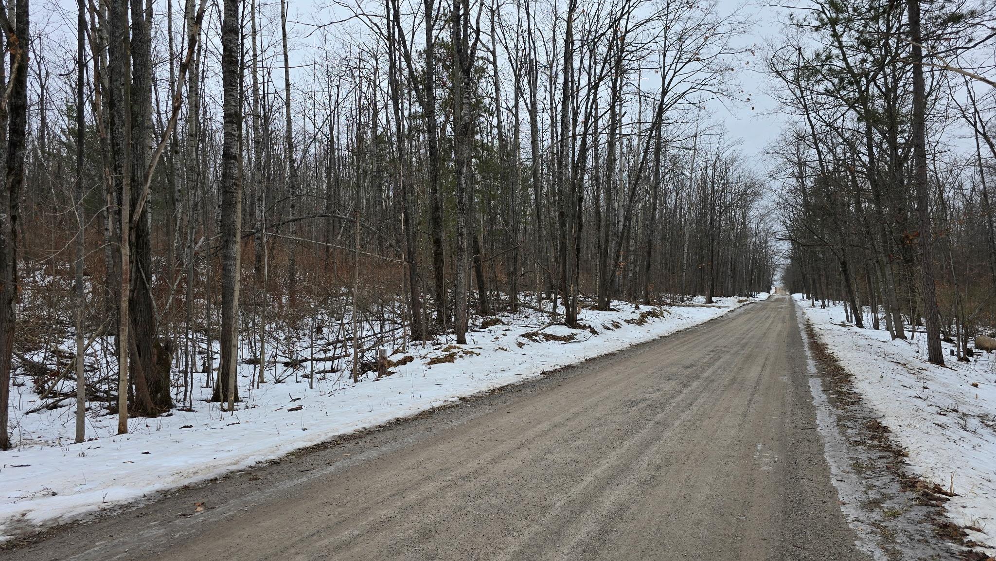 13384 Bartz Road Hubbard Lake, MI 49747 - Photo 3 of 9