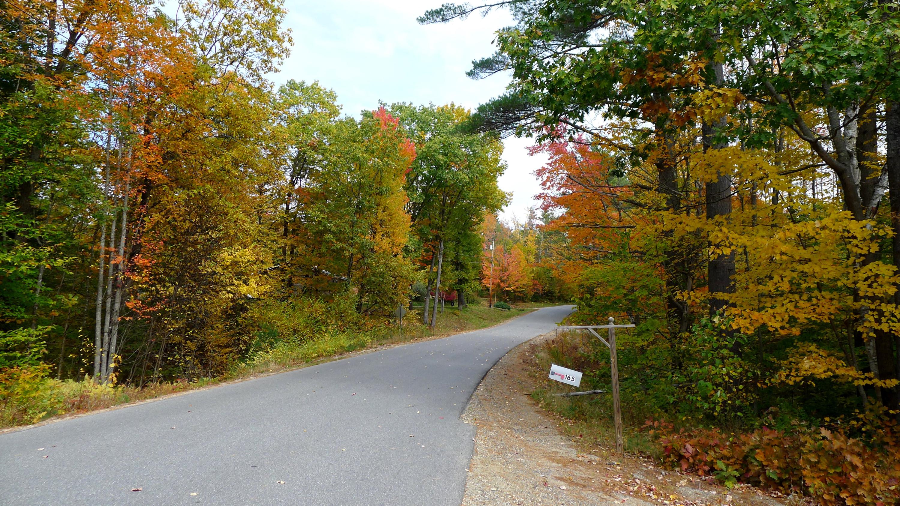 165 Keep Road Jay, ME 04239 - Photo 17 of 22 Keep Road--to the right
