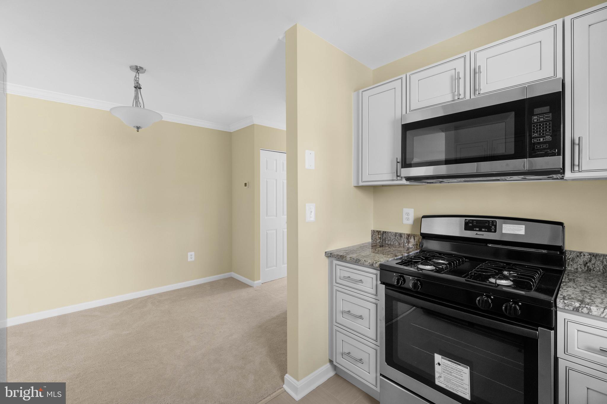 11919 Tarragon Road, Unit J Reisterstown, MD 21136 - Photo 16 of 30