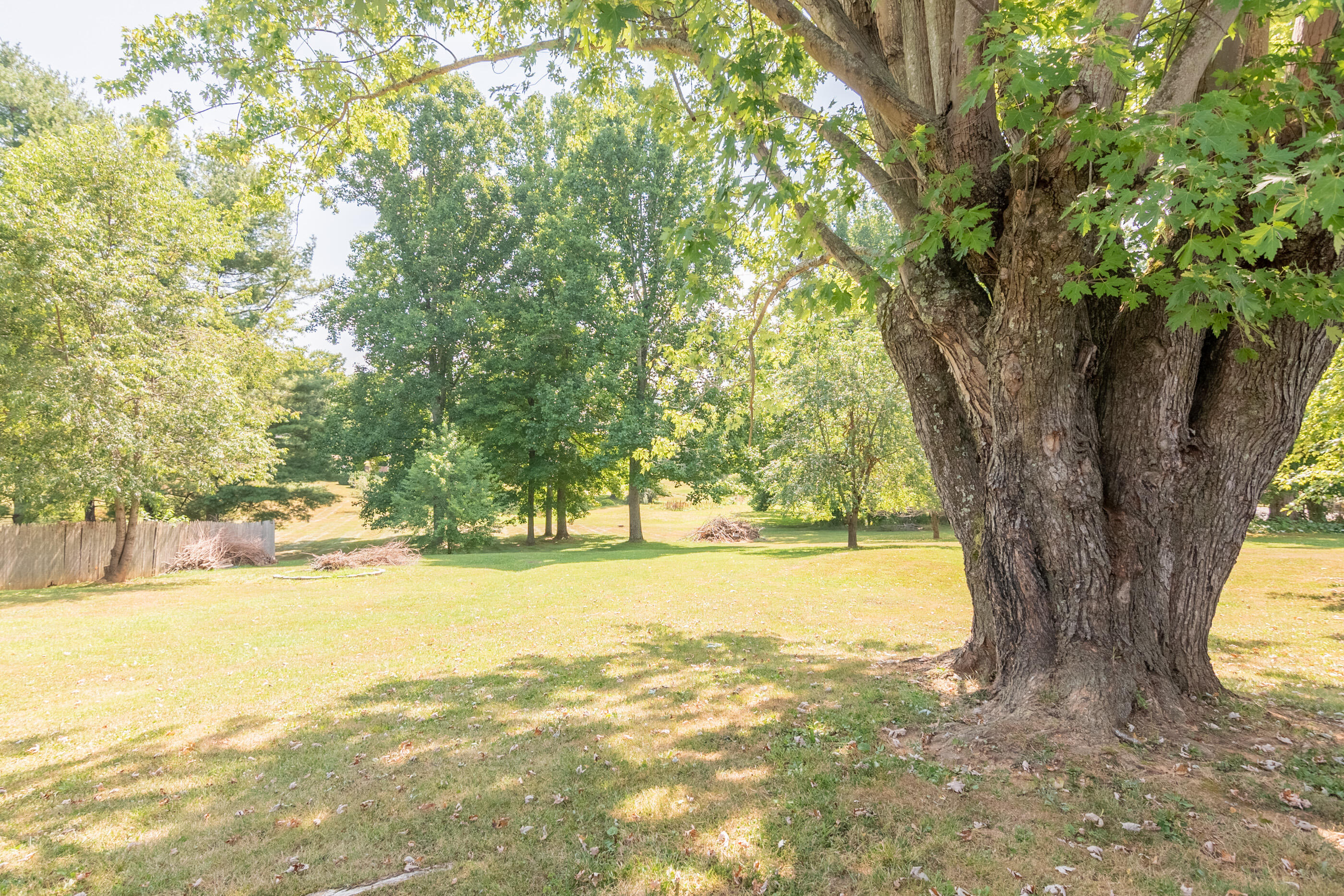 223 Newtown Road Northeast Floyd, VA 24091 - Photo 38 of 44 a view of an ocean and trees