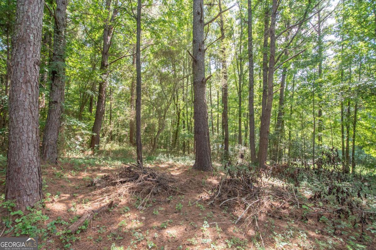 1104 Alverson Road LaGrange, GA 30241 - Photo 25 of 27 Gallery Image 25