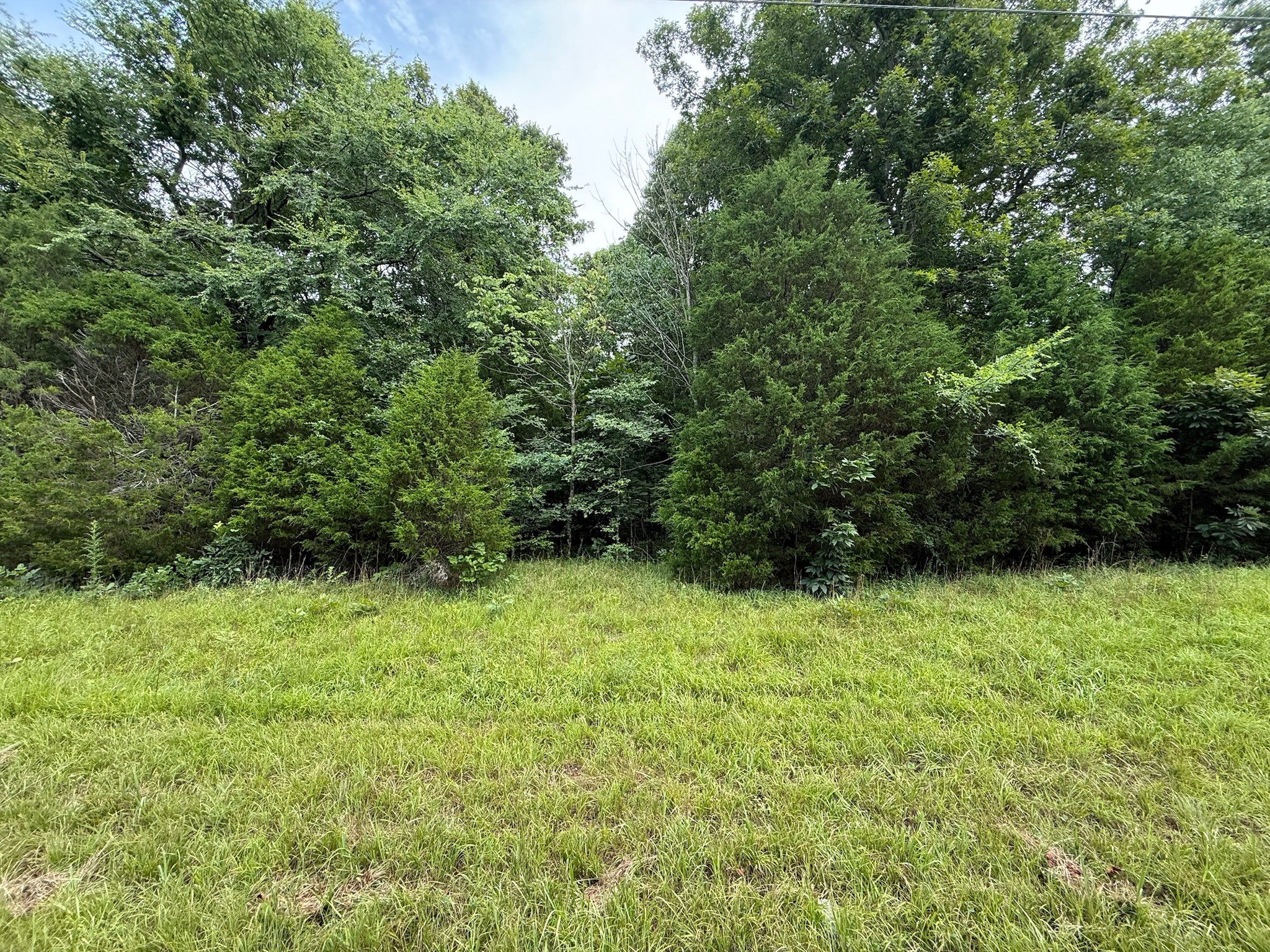 0 Lone Hill Road Falls Of Rough, KY 40119 - Photo 5 of 14 Gallery Image 5
