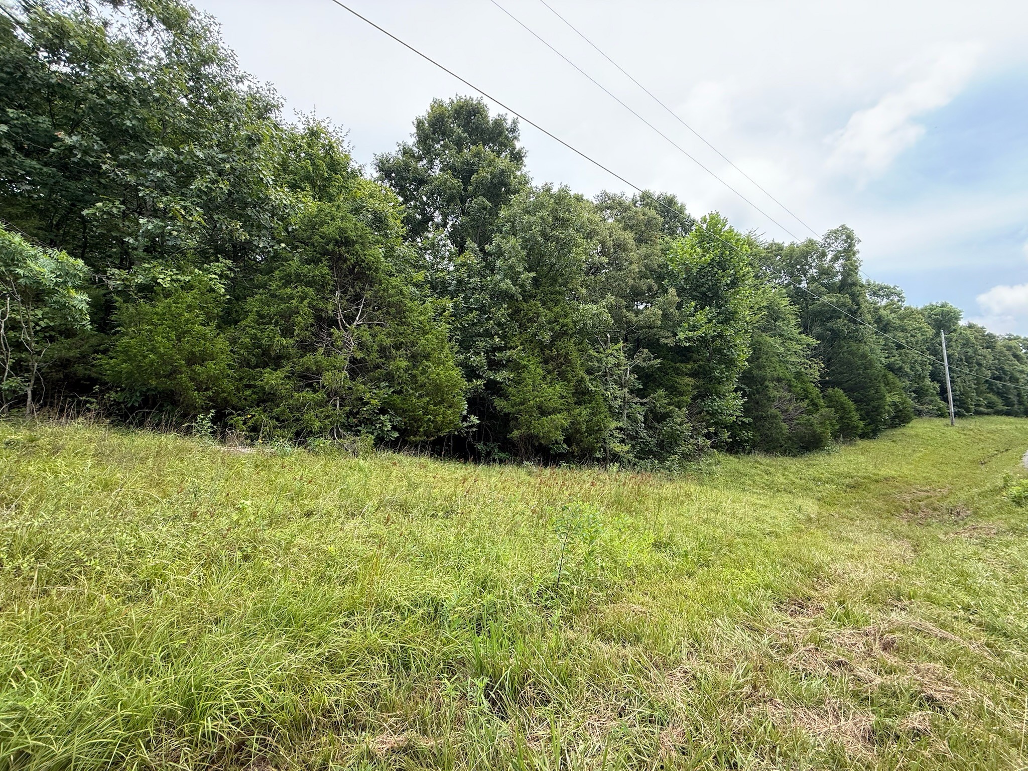 0 Lone Hill Road Falls Of Rough, KY 40119 - Photo 6 of 14 Gallery Image 6