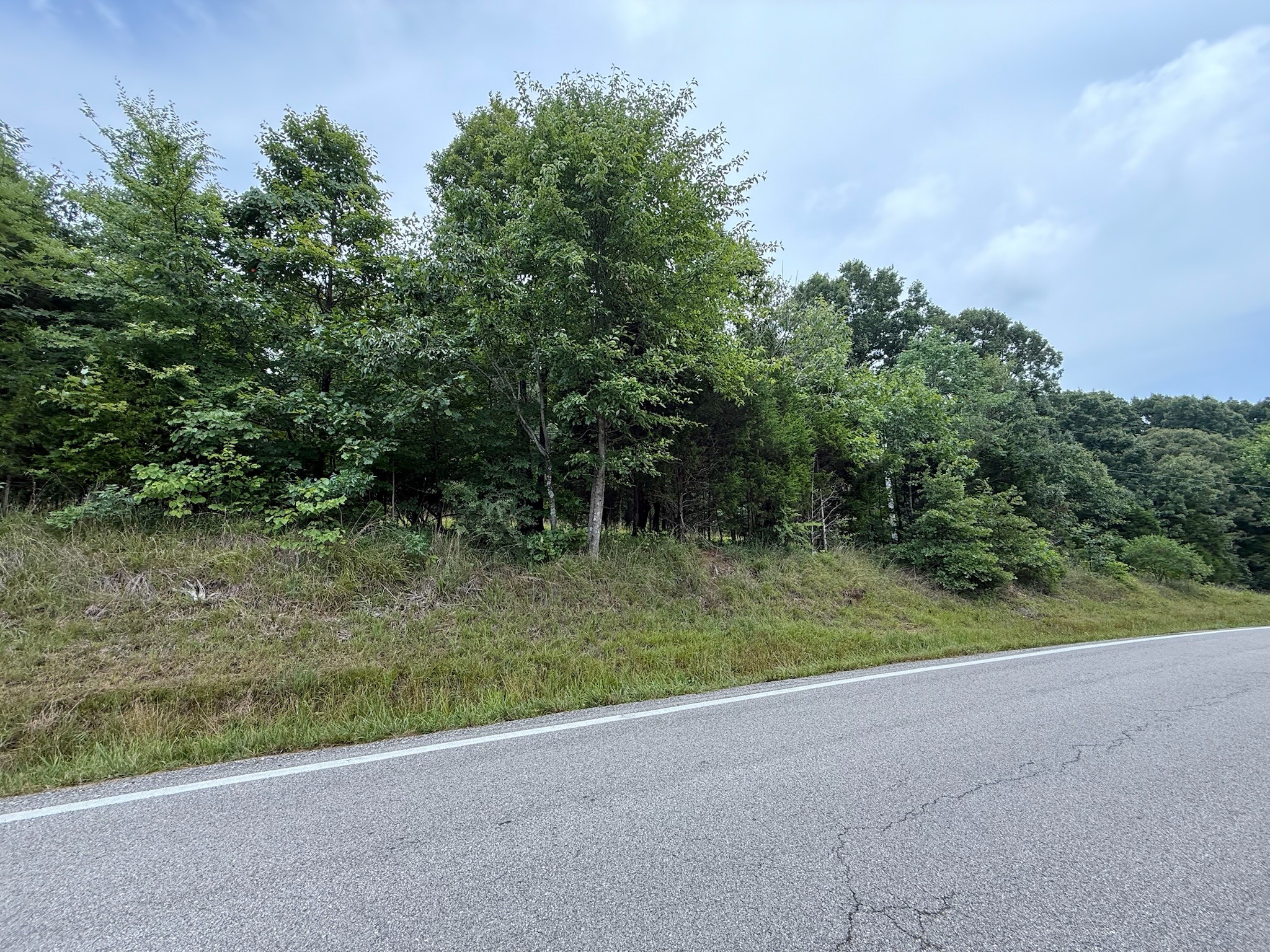 0 Lone Hill Road Falls Of Rough, KY 40119 - Photo 8 of 14 Gallery Image 8