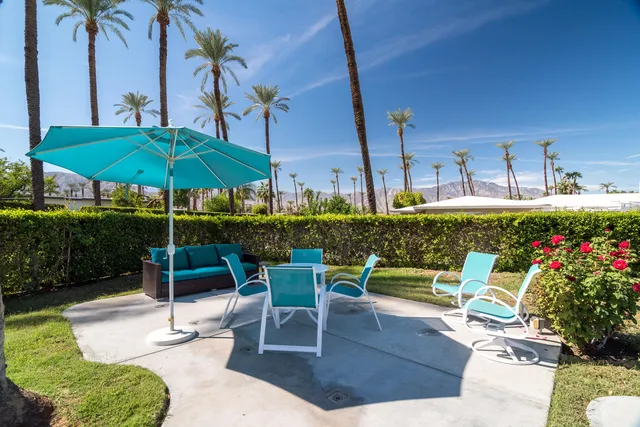 a view of a patio with couches potted plants and a palm tree