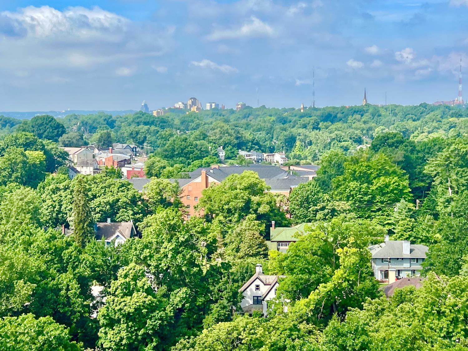 2324 Madison Road, Unit 1509 Cincinnati, OH 45208 - Photo 17 of 18