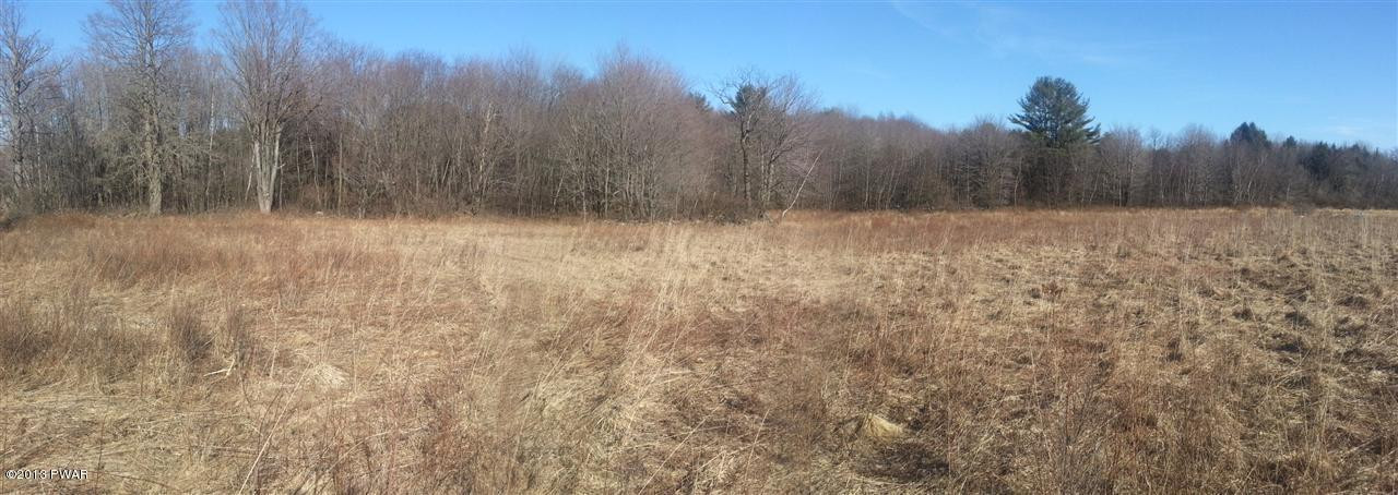 Layton Road Waymart, PA 18472 - Photo 7 of 10