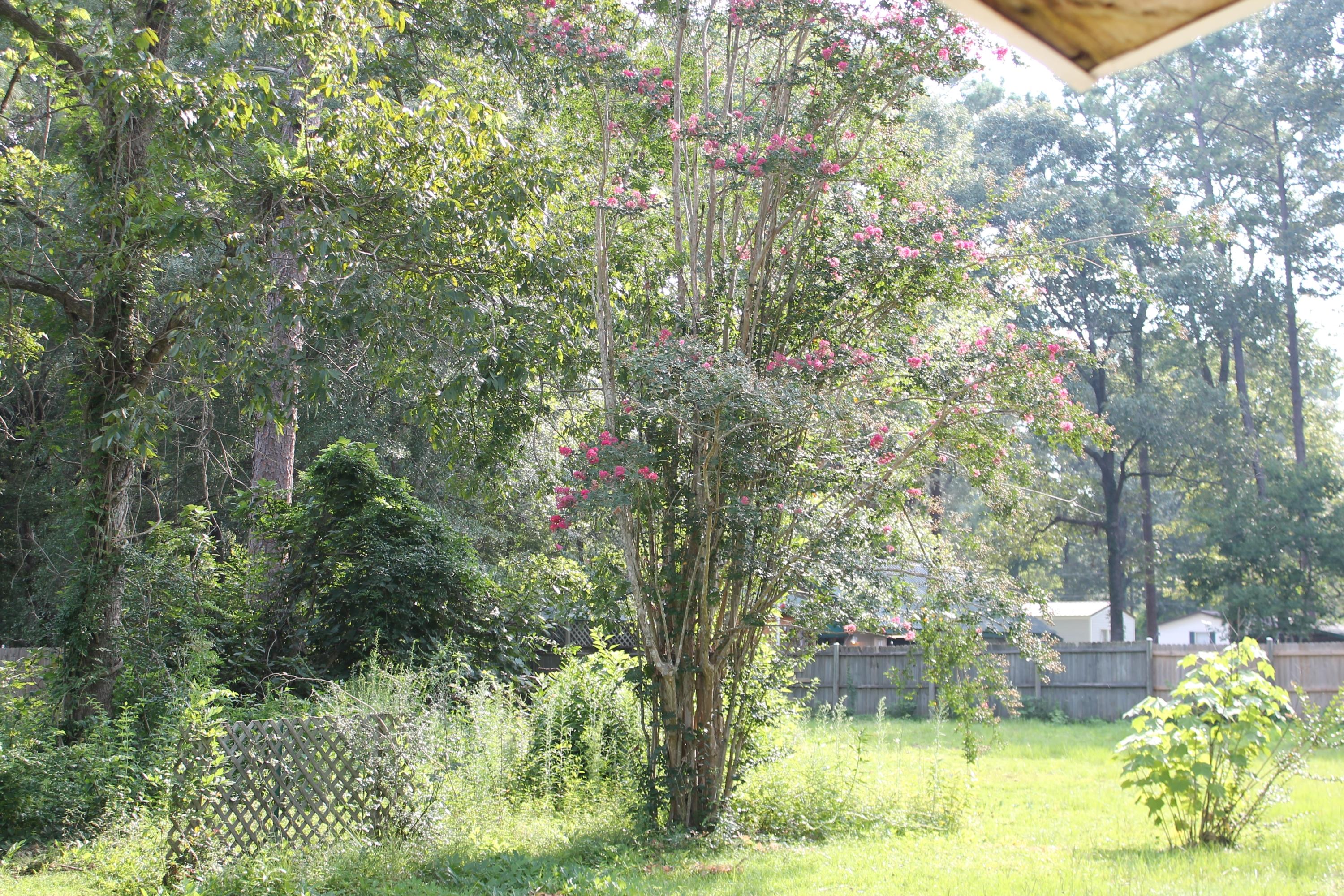 6 Old Bethel Road Crestview, FL 32536 - Photo 1 of 9 IMG_1857