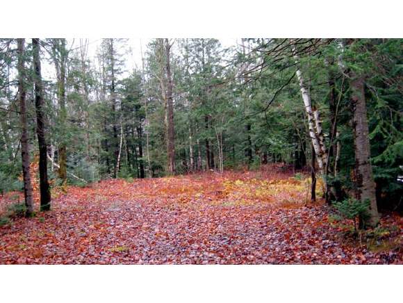 Lot 2 Off Rte 100 Westfield, VT 05874 - Photo 1 of 1 Gallery Image 1