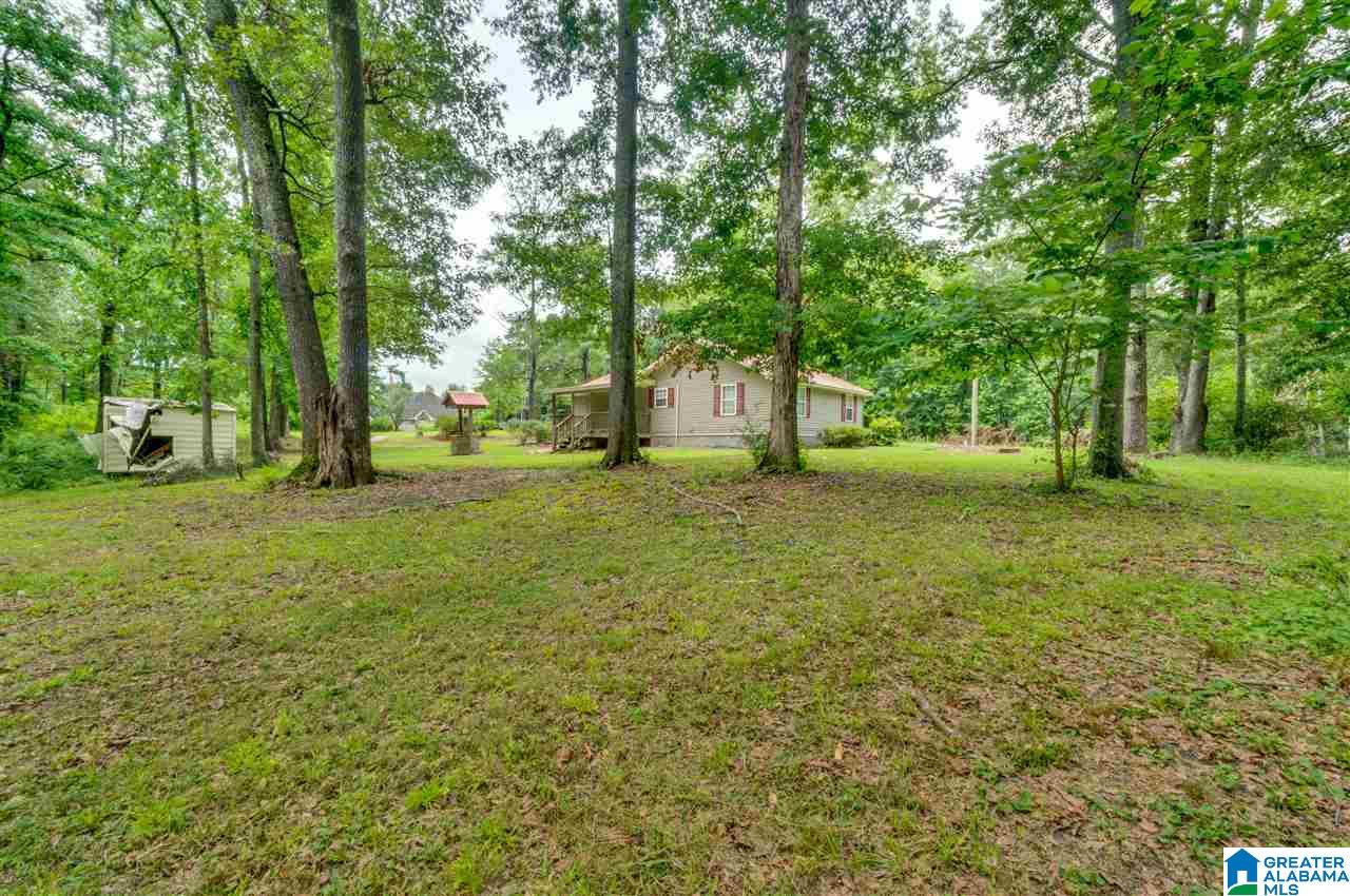 2995 County Road 77 Clanton, AL 35045 - Photo 28 of 50