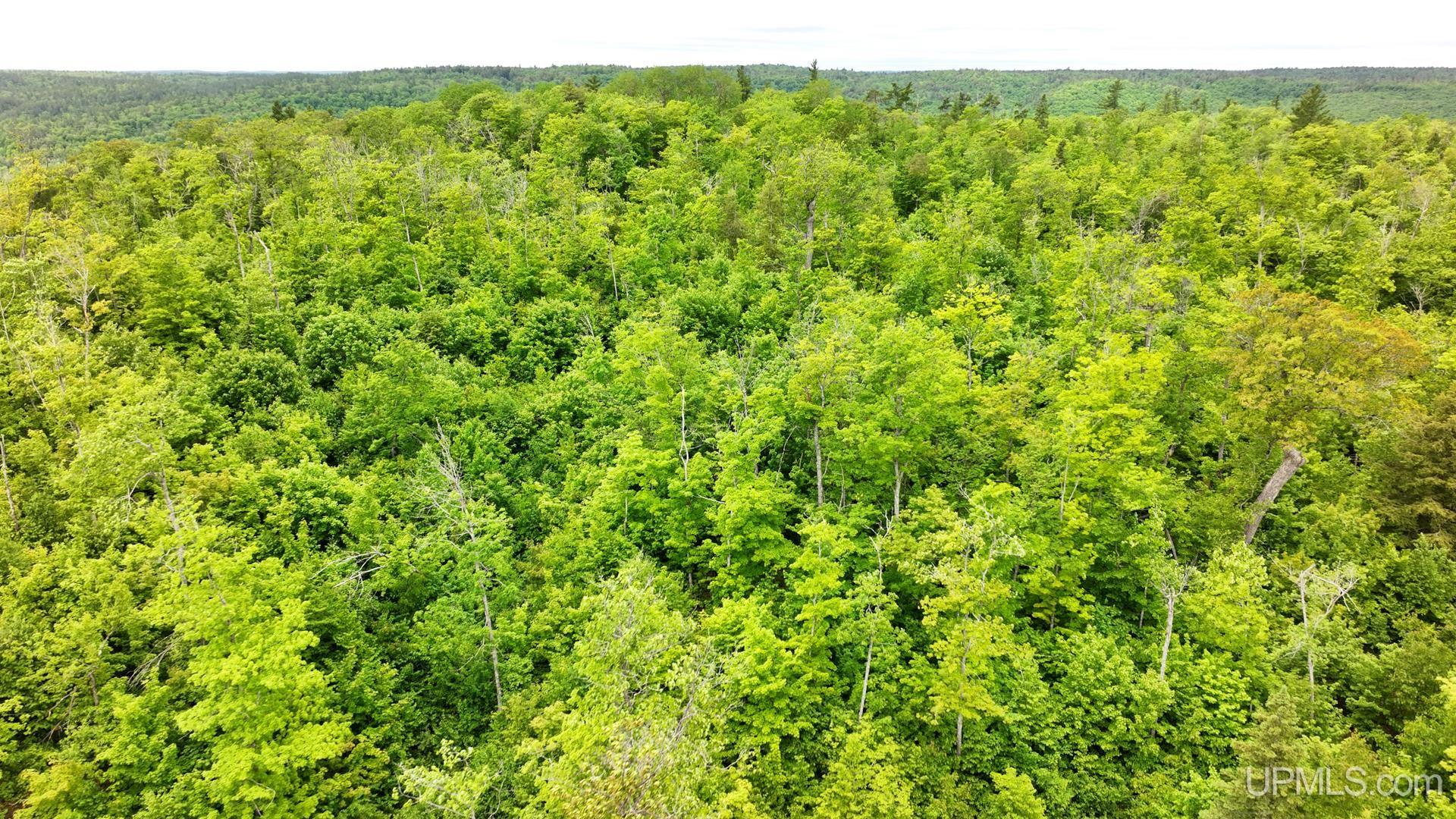 Tbd Tbd Co Road Negaunee, MI 49866 - Photo 43 of 47