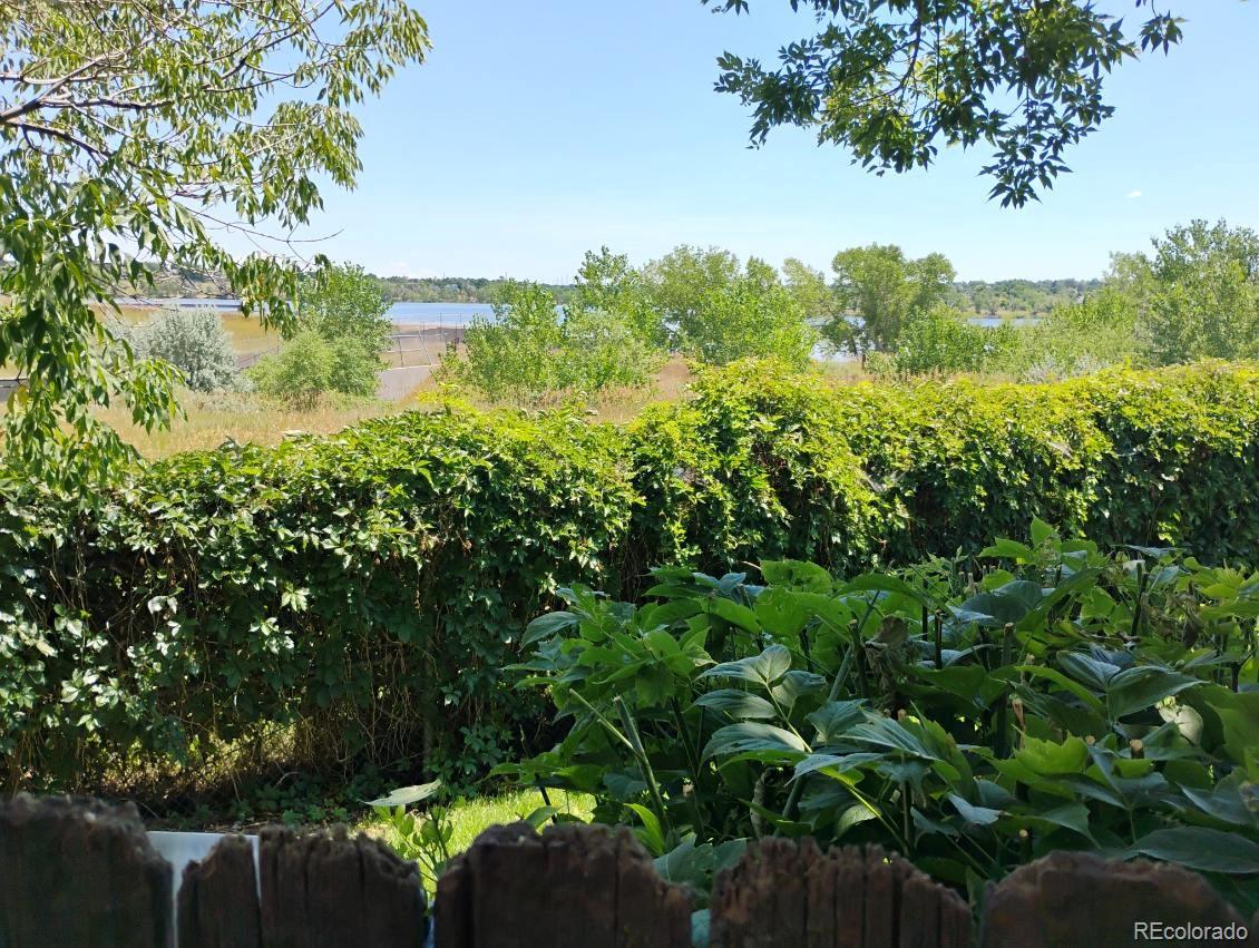 17467 East Rice Circle, Unit C Aurora, CO 80015 - Photo 21 of 25 a view of a lake with a tree
