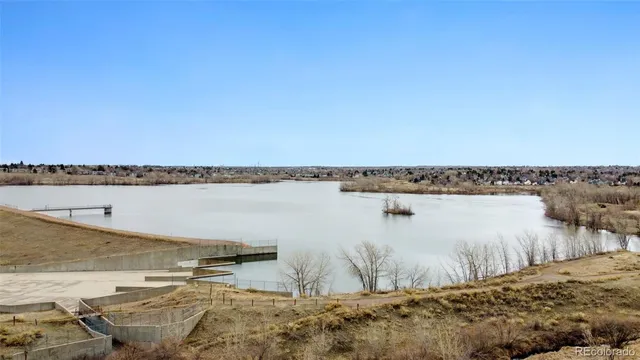 a view of a dry yard with trees