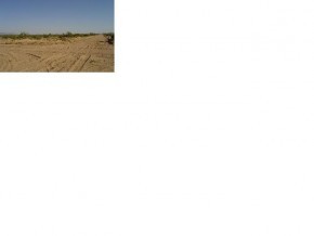 2754 South Gene Autry Road Yucca, AZ 86438 - Photo 3 of 6 Additional Photo