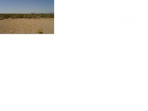 2754 South Gene Autry Road Yucca, AZ 86438 - Photo 5 of 6 Additional Photo
