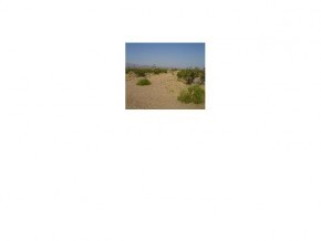2754 South Gene Autry Road Yucca, AZ 86438 - Photo 6 of 6 Additional Photo