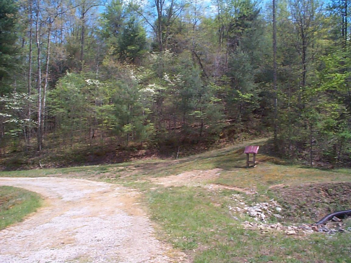 1399 Old State Road Wellington, KY 40387 - Photo 26 of 30 Photo 26