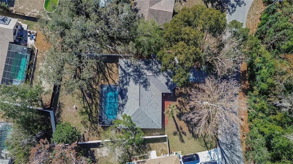 2496 Mandrell Avenue Spring Hill, FL 34608 - Photo 38 of 39