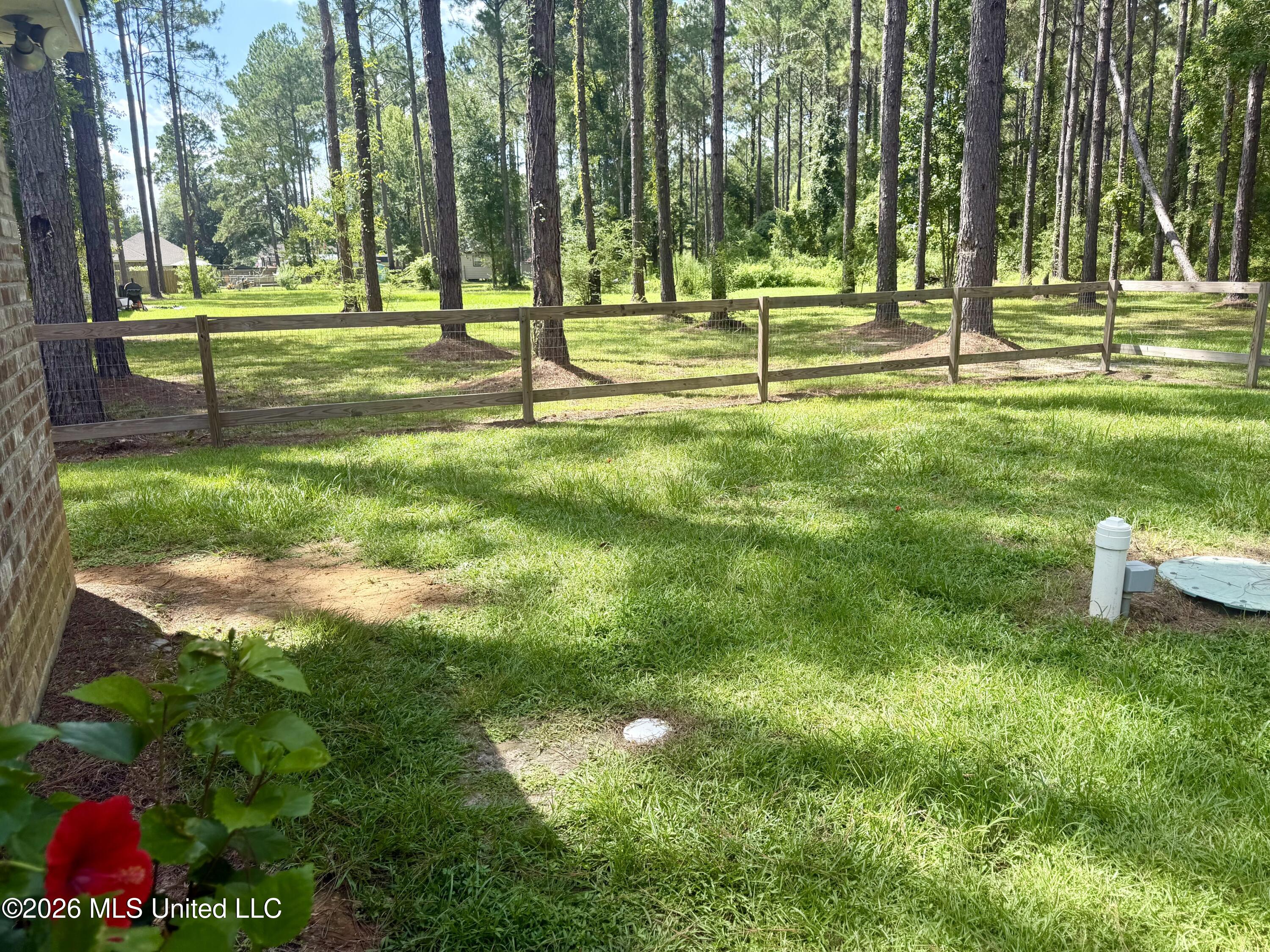 39 George Ford Road Carriere, MS 39426 - Photo 19 of 24 IMG_5981