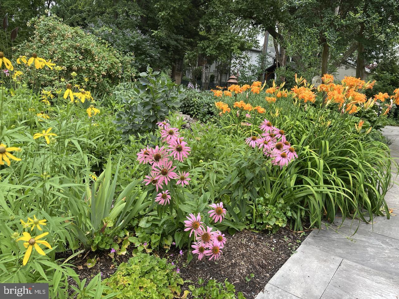 106 East Chestnut Street St. Michaels, MD 21663 - Photo 33 of 39 a view of a flower in a garden