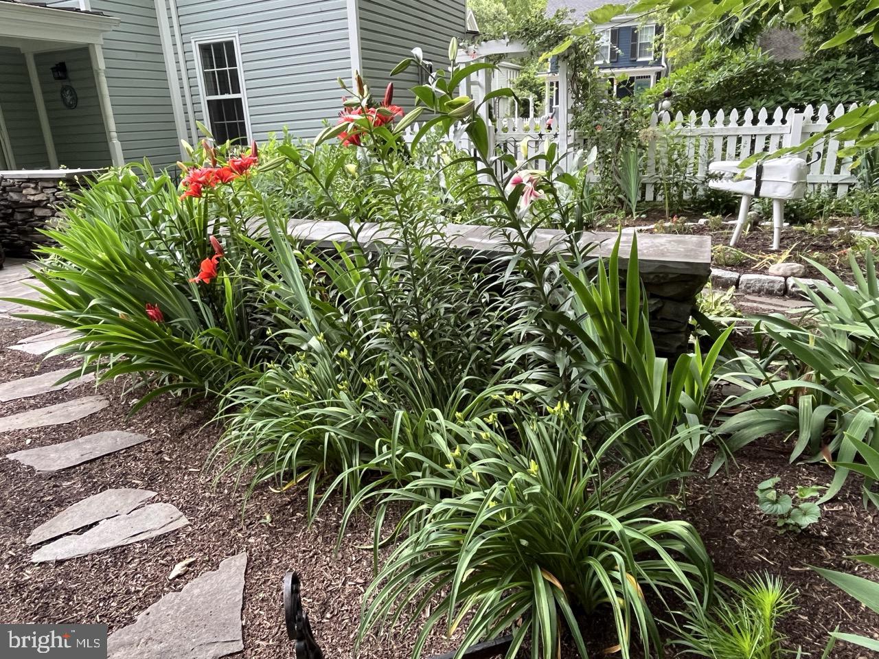 106 East Chestnut Street St. Michaels, MD 21663 - Photo 36 of 39 a flower plants in front of a house