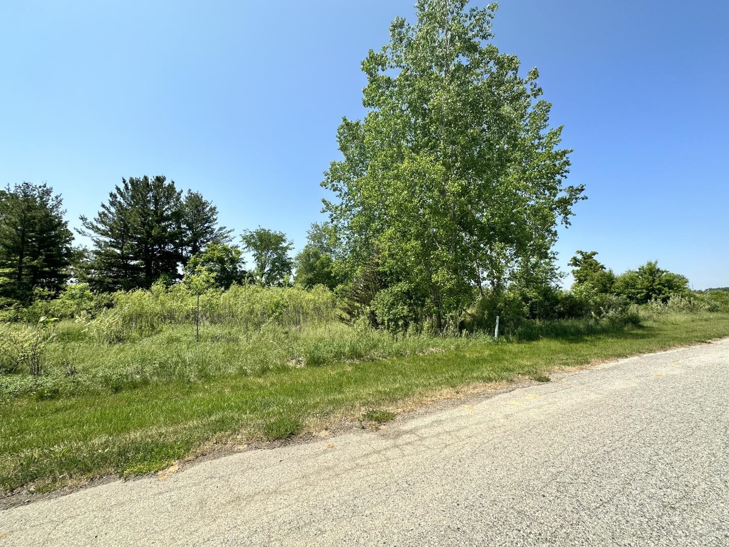 Tbd Tbd Kali, Unit 5 Alma, MI 48801 - Photo 3 of 21