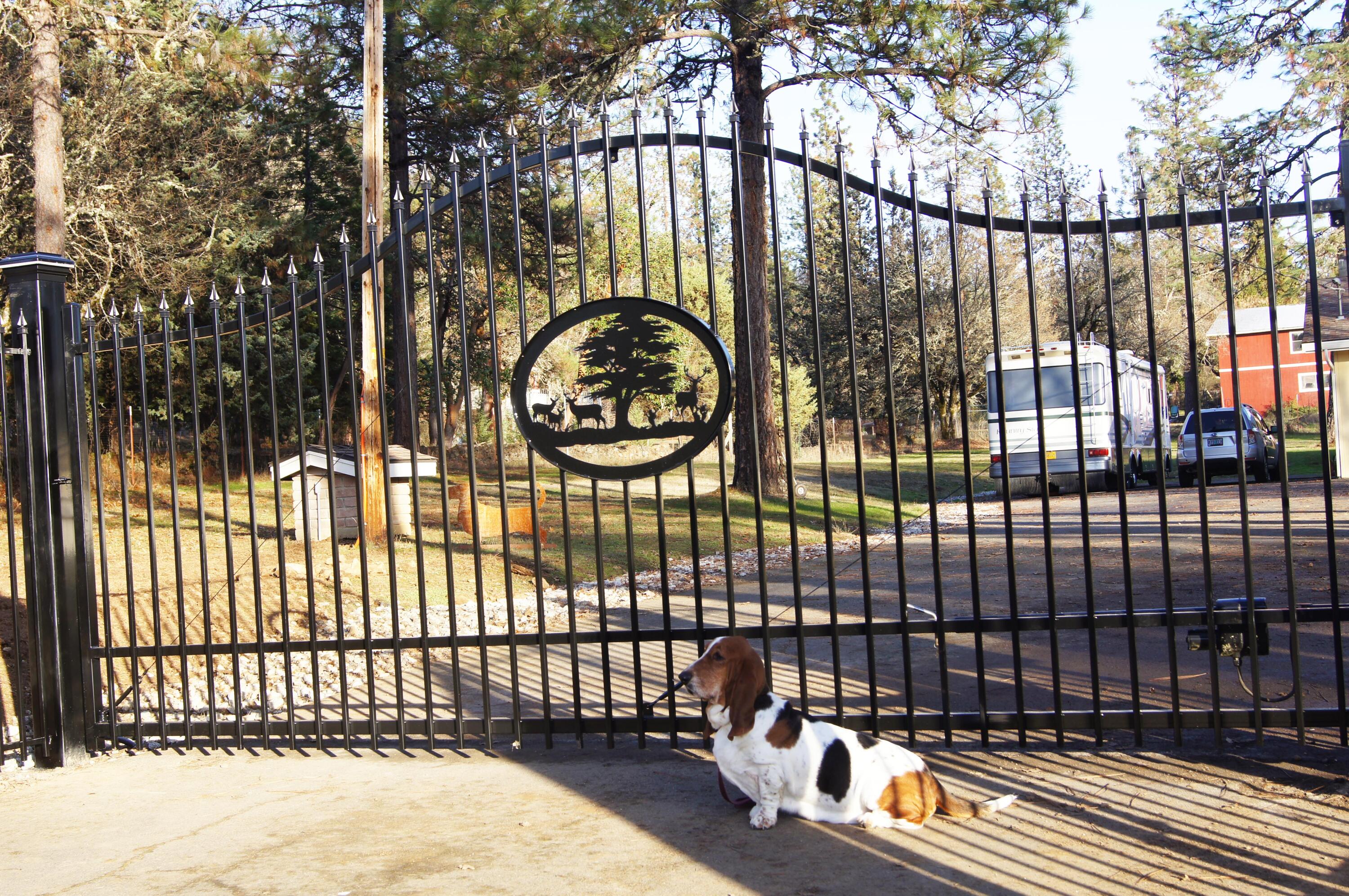 553 Soldier Creek Road Grants Pass, OR 97526 - Photo 3 of 41 3 DOG BY GATE