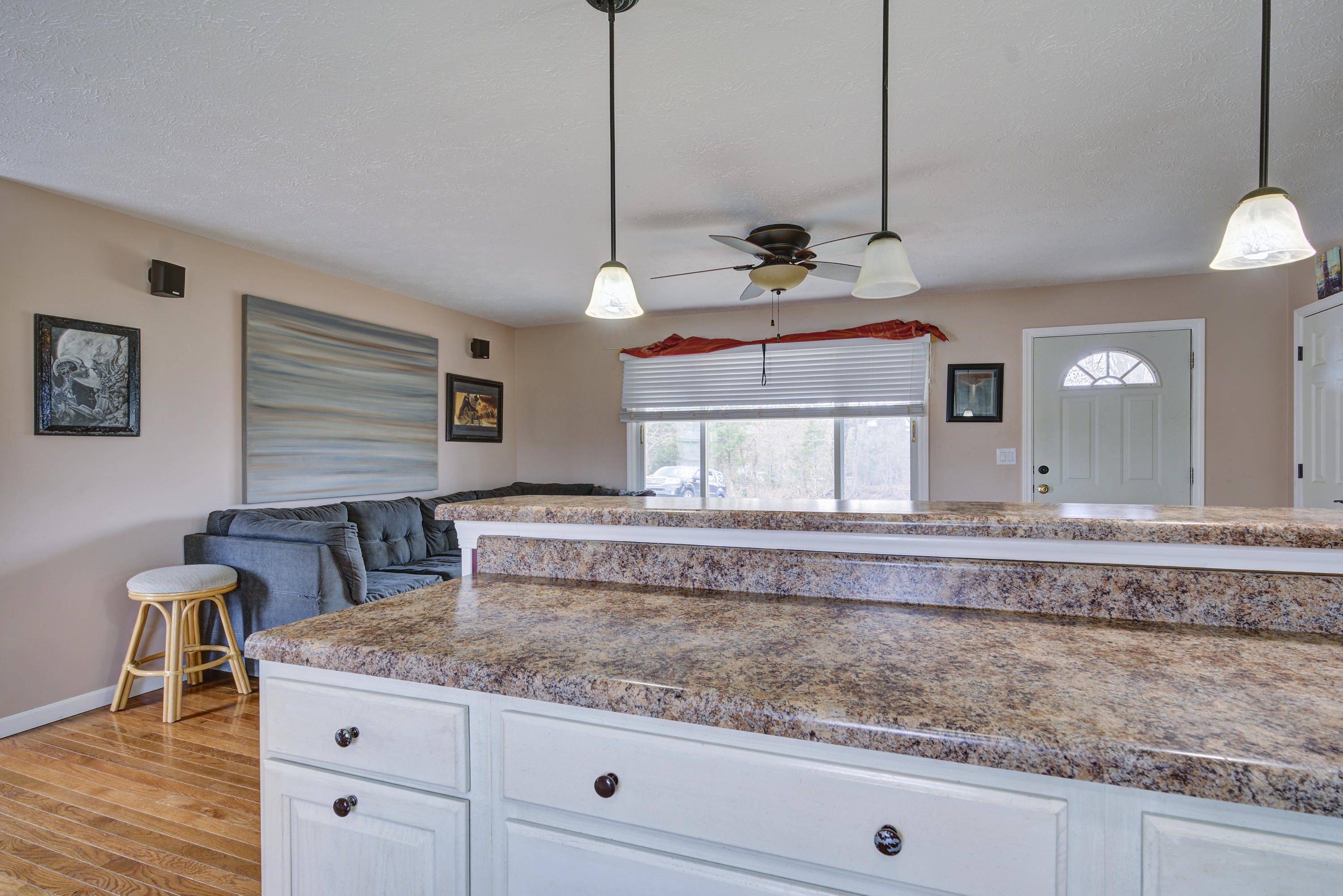160 Doc Browning Road Telford, TN 37690 - Photo 21 of 41 DocBrowningLAND-24