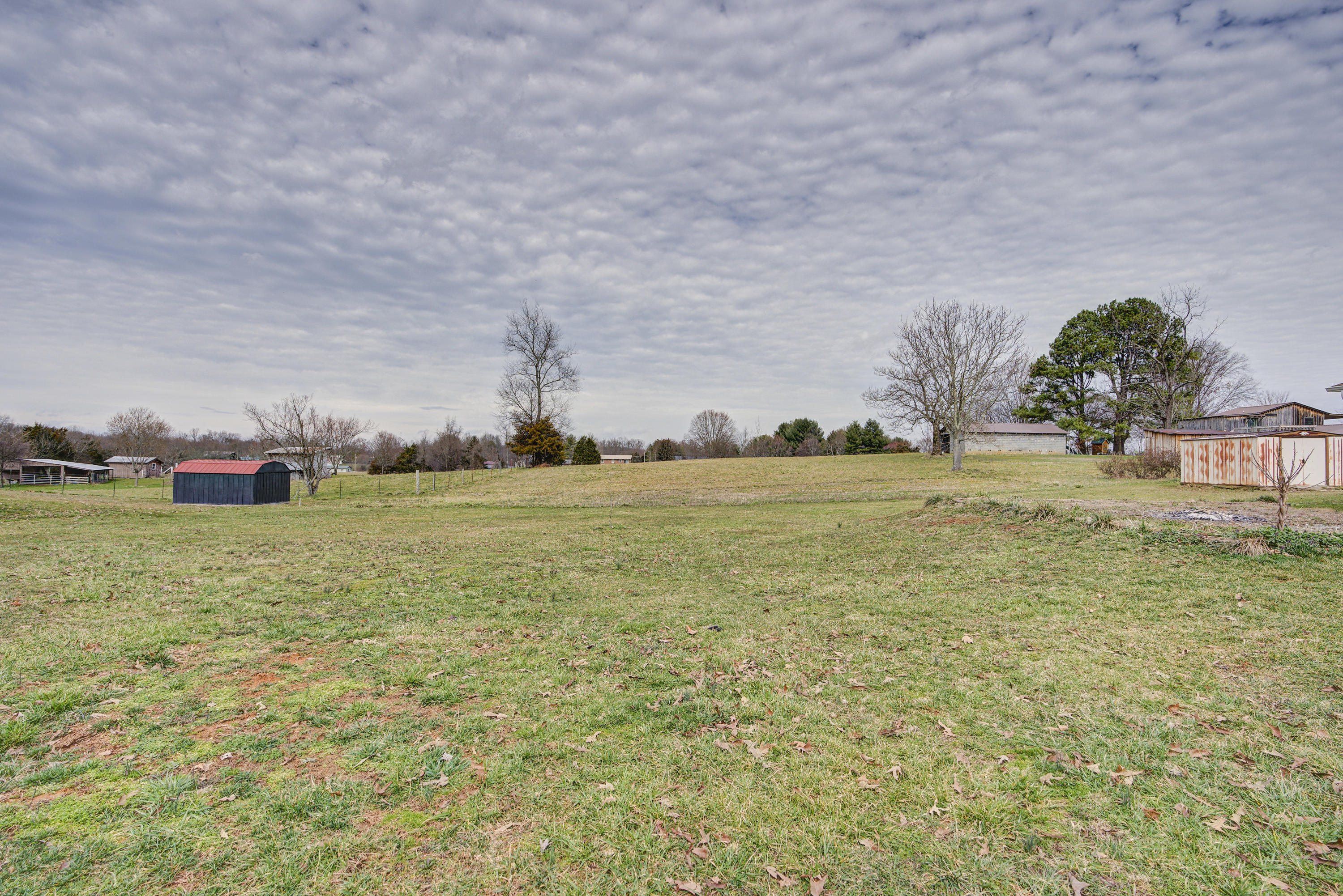 160 Doc Browning Road Telford, TN 37690 - Photo 37 of 41 DocBrowningLAND-32