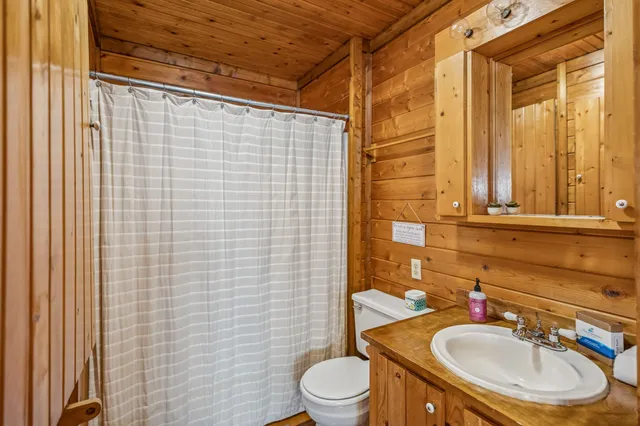 a bathroom with a sink a toilet and shower curtain