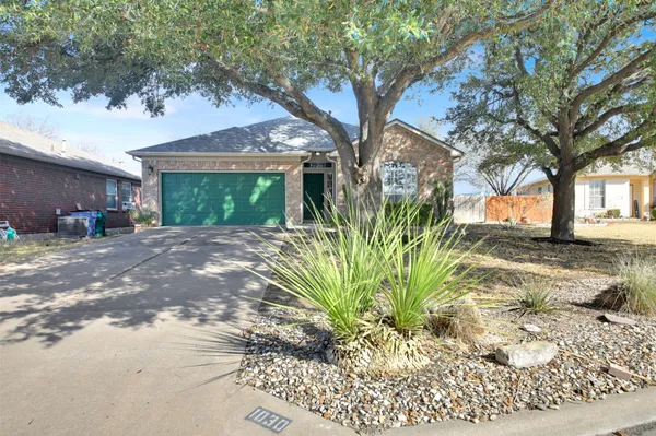 a view of a yard with plants and a large tree