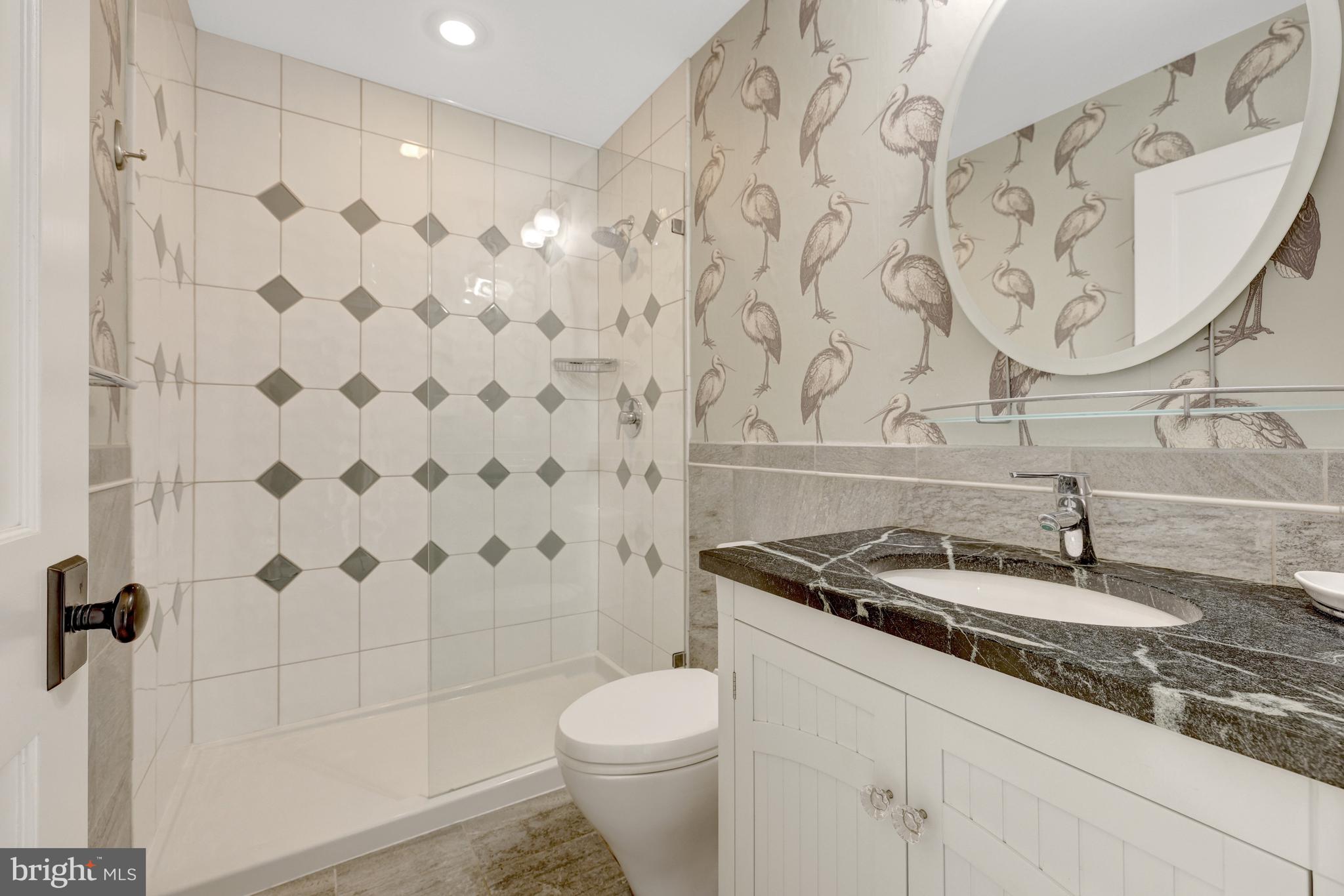 440 Montpelier Road Great Falls, VA 22066 - Photo 37 of 79 a bathroom with a granite countertop sink a toilet and shower