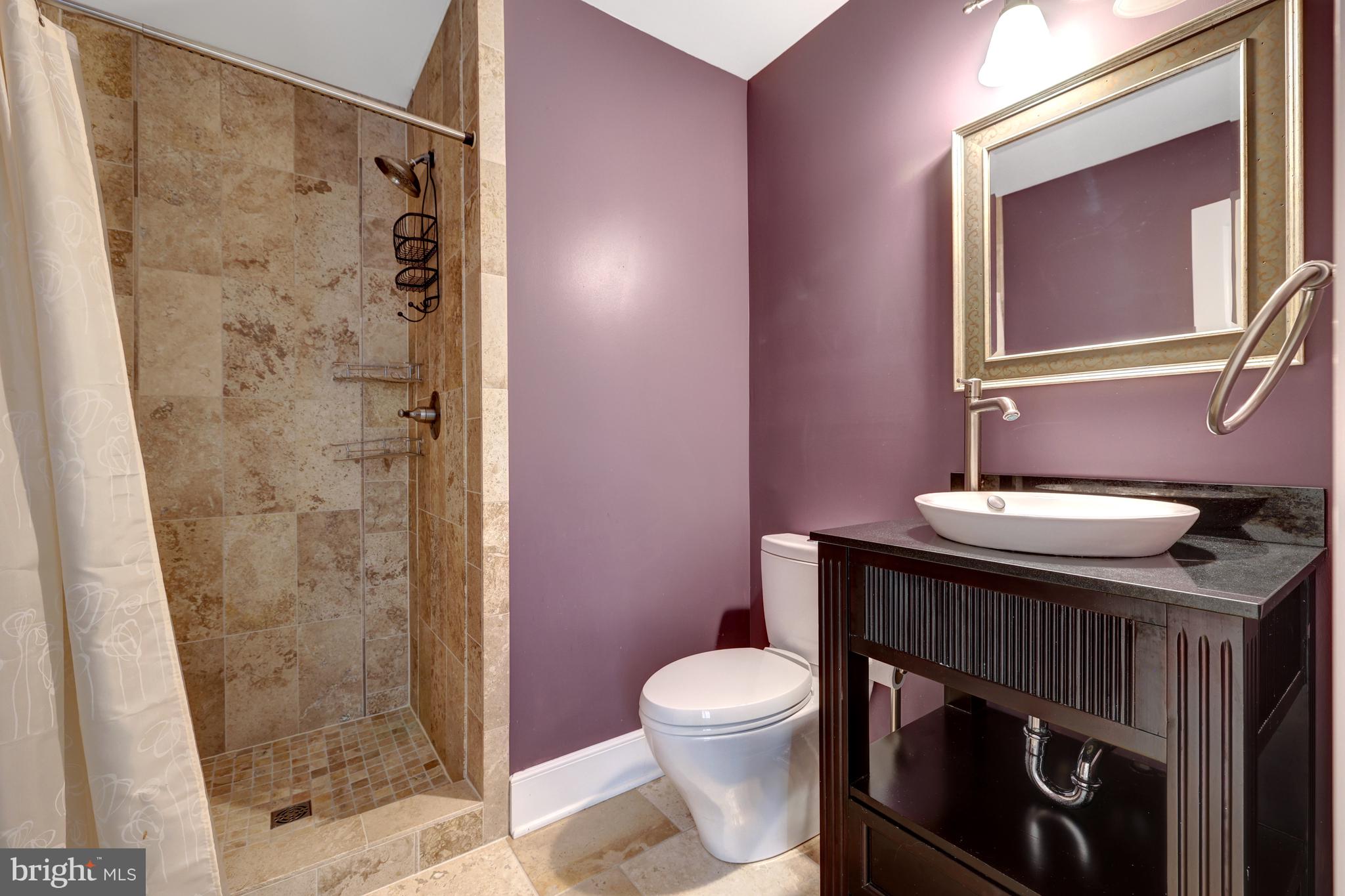 440 Montpelier Road Great Falls, VA 22066 - Photo 57 of 79 a bathroom with a sink a toilet a shower and a mirror