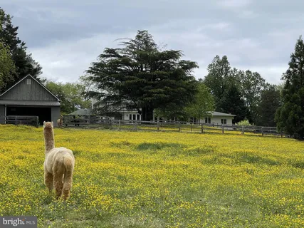 $2,265,000 | 440 Montpelier Road, Great Falls, VA 22066