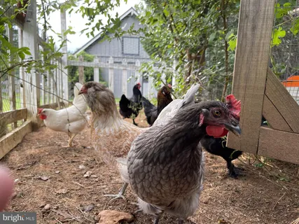 $2,265,000 | 440 Montpelier Road, Great Falls, VA 22066