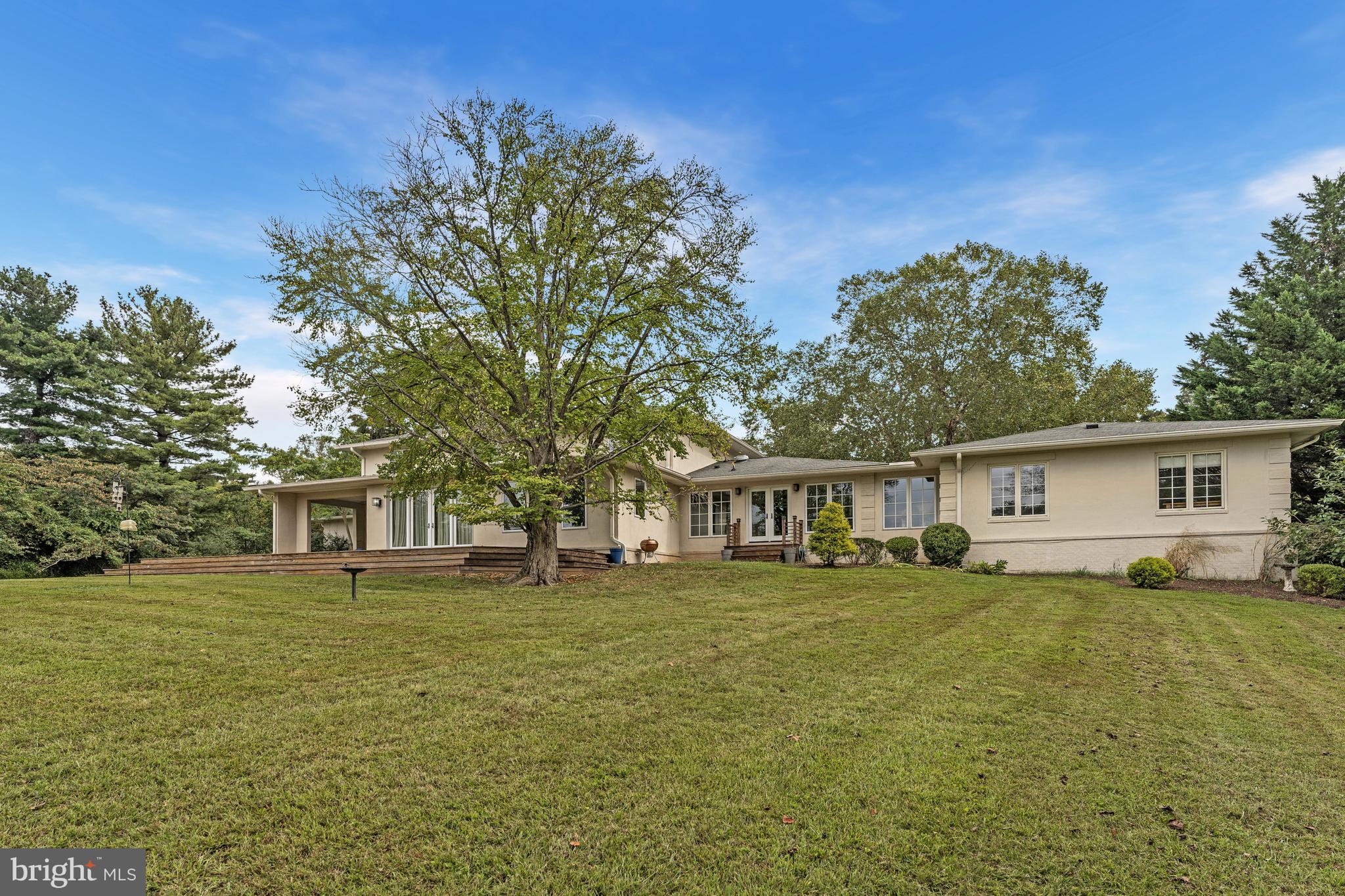 440 Montpelier Road Great Falls, VA 22066 - Photo 63 of 79 a view of a house with a big yard and large trees