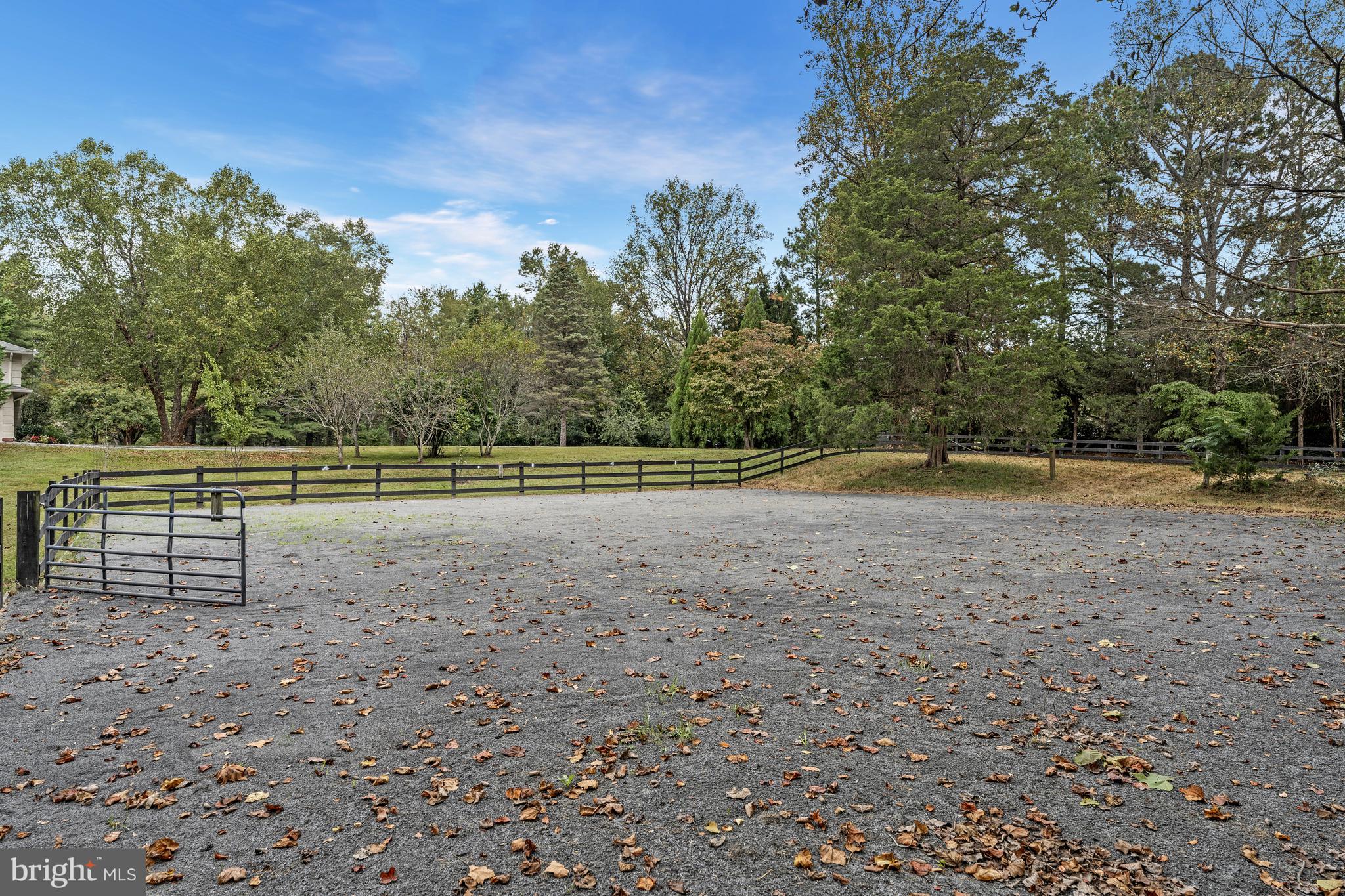 440 Montpelier Road Great Falls, VA 22066 - Photo 71 of 79 riding ring