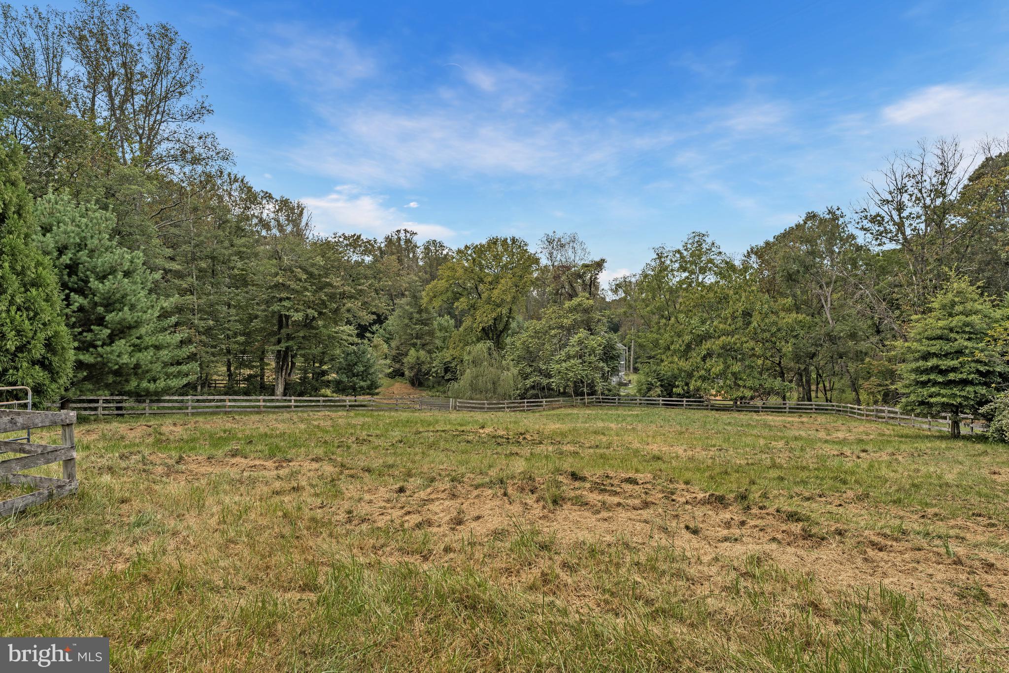 440 Montpelier Road Great Falls, VA 22066 - Photo 73 of 79 a view of a field with trees in background