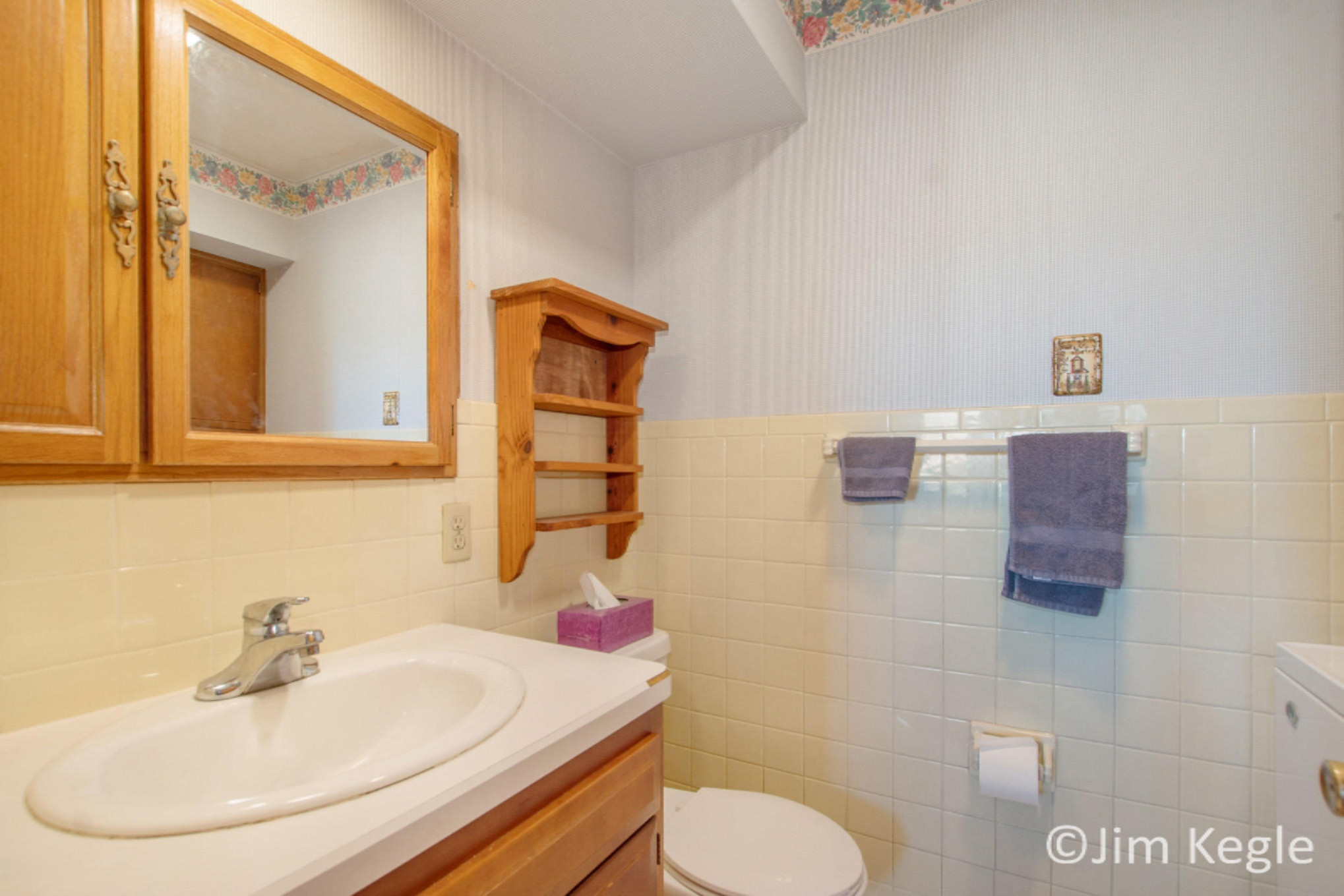 8022 West Stanton Road Stanton, MI 48888 - Photo 12 of 40 DSC00214