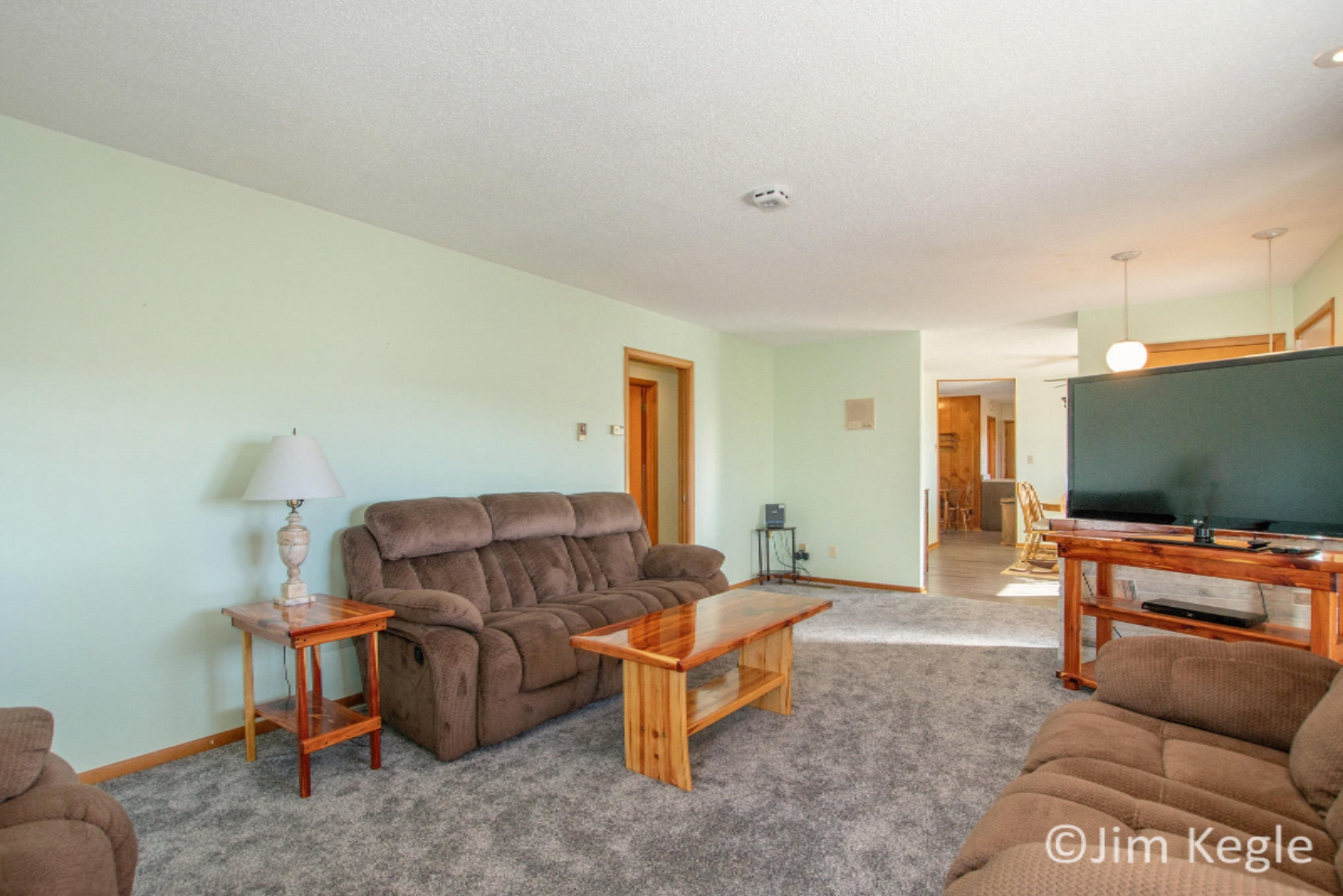 8022 West Stanton Road Stanton, MI 48888 - Photo 20 of 40 DSC00236