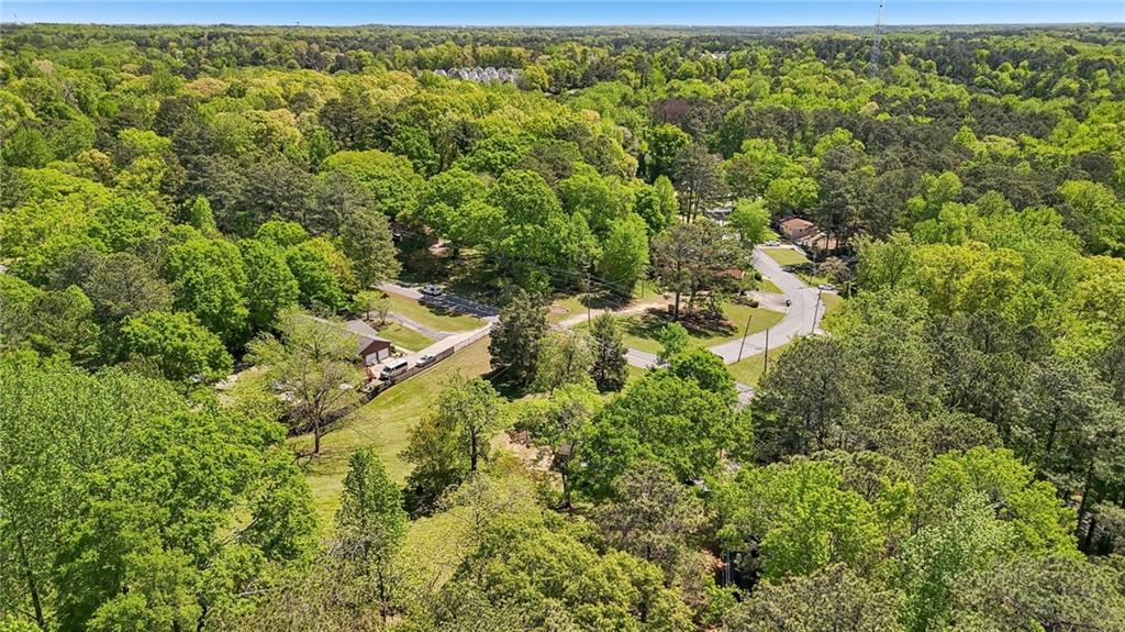 5735 Old Bill Cook Road Atlanta, GA 30349 - Photo 16 of 38 a view of a forest with a street